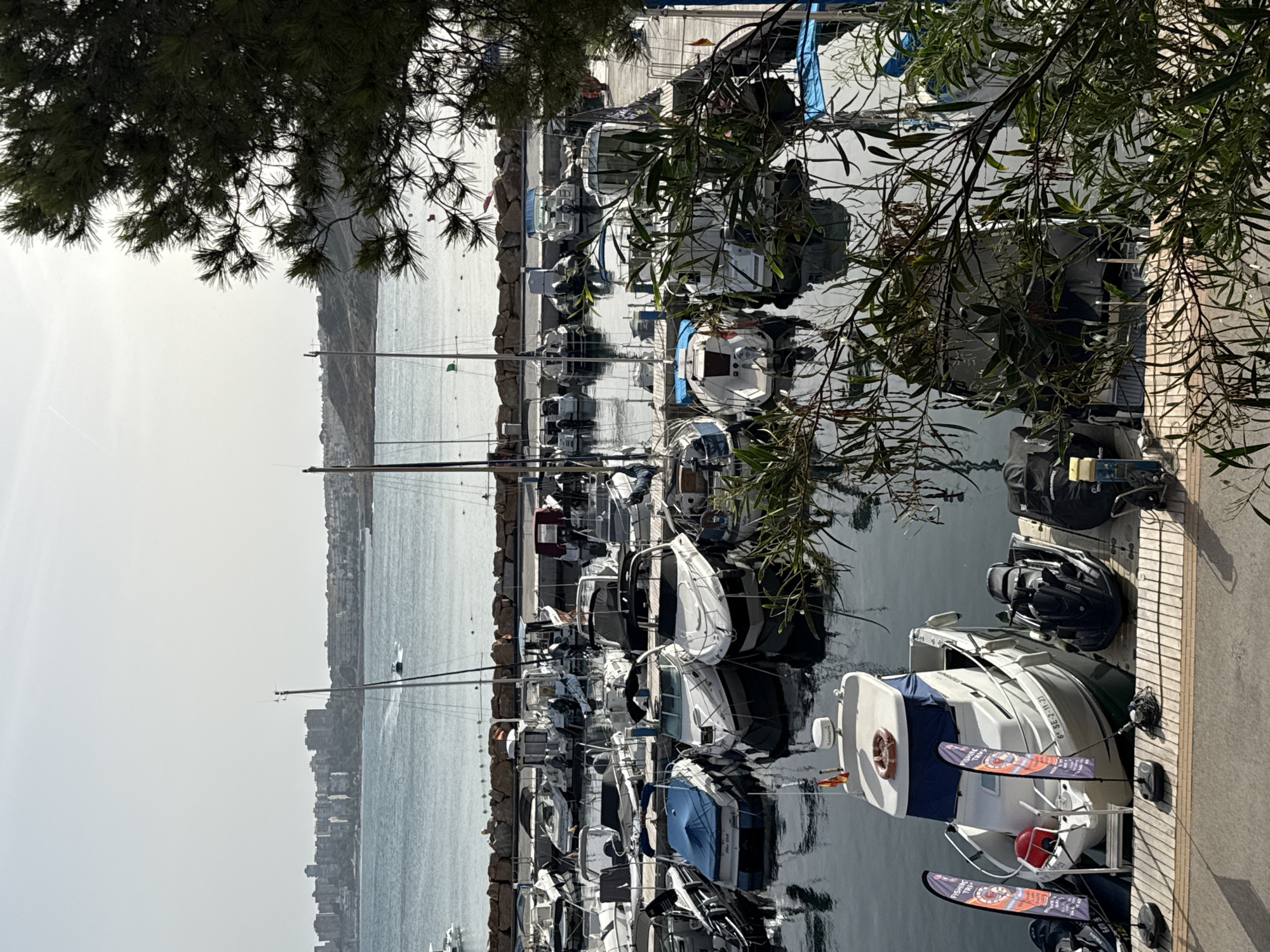 The image shows a marina filled with numerous boats of various sizes docked in still water. In the foreground, a white motorboat with a blue canopy is prominently featured, with two orange and white "FISHING TRIPS" flags planted in front of it. To the right of this boat is a black jet ski. Behind these, more boats are visible, including smaller speedboats and yachts, many with covers. The water reflects the boats and the sky, which is a pale, hazy blue with scattered sunlight. In the background, a stone breakwater separates the marina from a larger body of water, beyond which lies a coastal city with a dense collection of buildings stretching along the coastline. The sky above is bright but diffused, suggesting an overcast or hazy day. A large tree with dark green foliage partially obscures the right side of the frame, casting shadows and adding depth to the scene. There are no visible people actively engaged in any specific actions within the marina itself.
