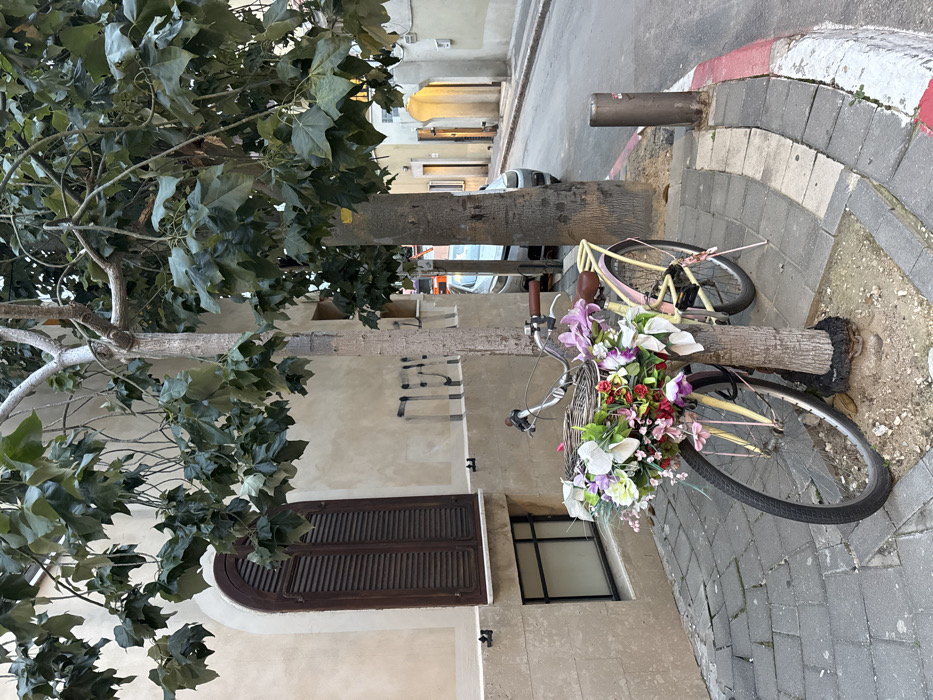 A tree's trunk appears to grow through a bicycle adorned with flowers. The bicycle is propped against the trunk, positioned on a cobblestone sidewalk adjacent to a building with closed shutters and a window. The tree's canopy extends outwards, filling the upper left of the frame with lush green foliage. The surrounding street includes a glimpse of parked cars and buildings under bright sunlight. The tree seems to be used as a makeshift rack for parking the bicycle.