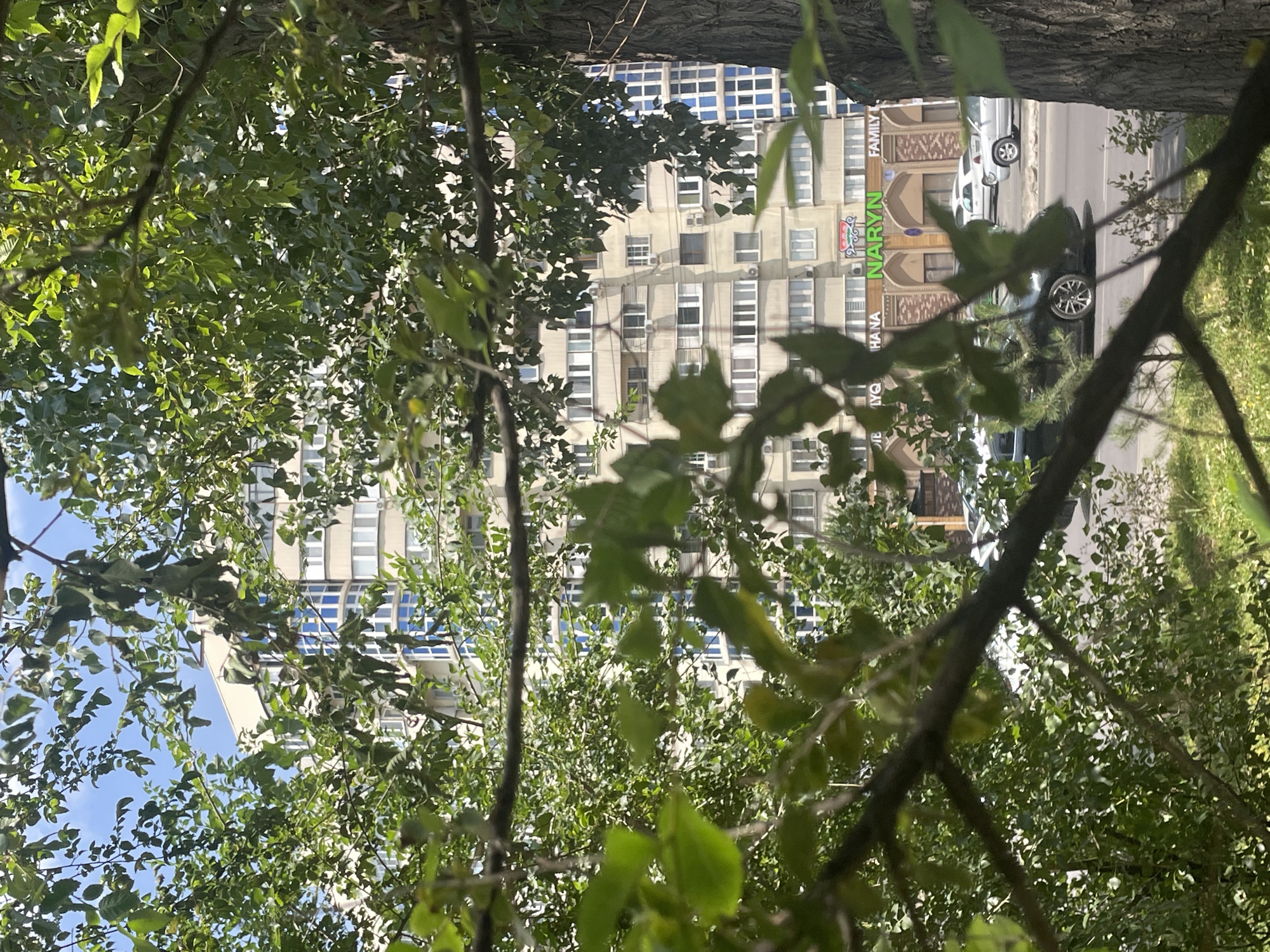 The media file depicts a street scene in Almaty, Kazakhstan, viewed through the branches and foliage of trees. In the background, a multi-story building with a light-colored facade dominates the view. The building has numerous windows, some with blue frames, and appears to be residential or commercial. There are signs on the building, including one with the text "NARYN" in large green letters, and smaller text that includes "FAMILY" and "HANA."
In front of the building, a street is visible with a few cars. One car is white, and another is dark-colored with silver rims. The presence of cars and a street suggests an urban environment. The foliage in the foreground is lush and green, indicating it is likely daytime and possibly a warm season. The lighting suggests it is daytime, with sunlight filtering through the leaves. The overall impression is of a typical urban setting, with nature (trees) interspersed with man-made structures and activity. There are no people clearly visible in the frame. The scene appears peaceful and ordinary.
