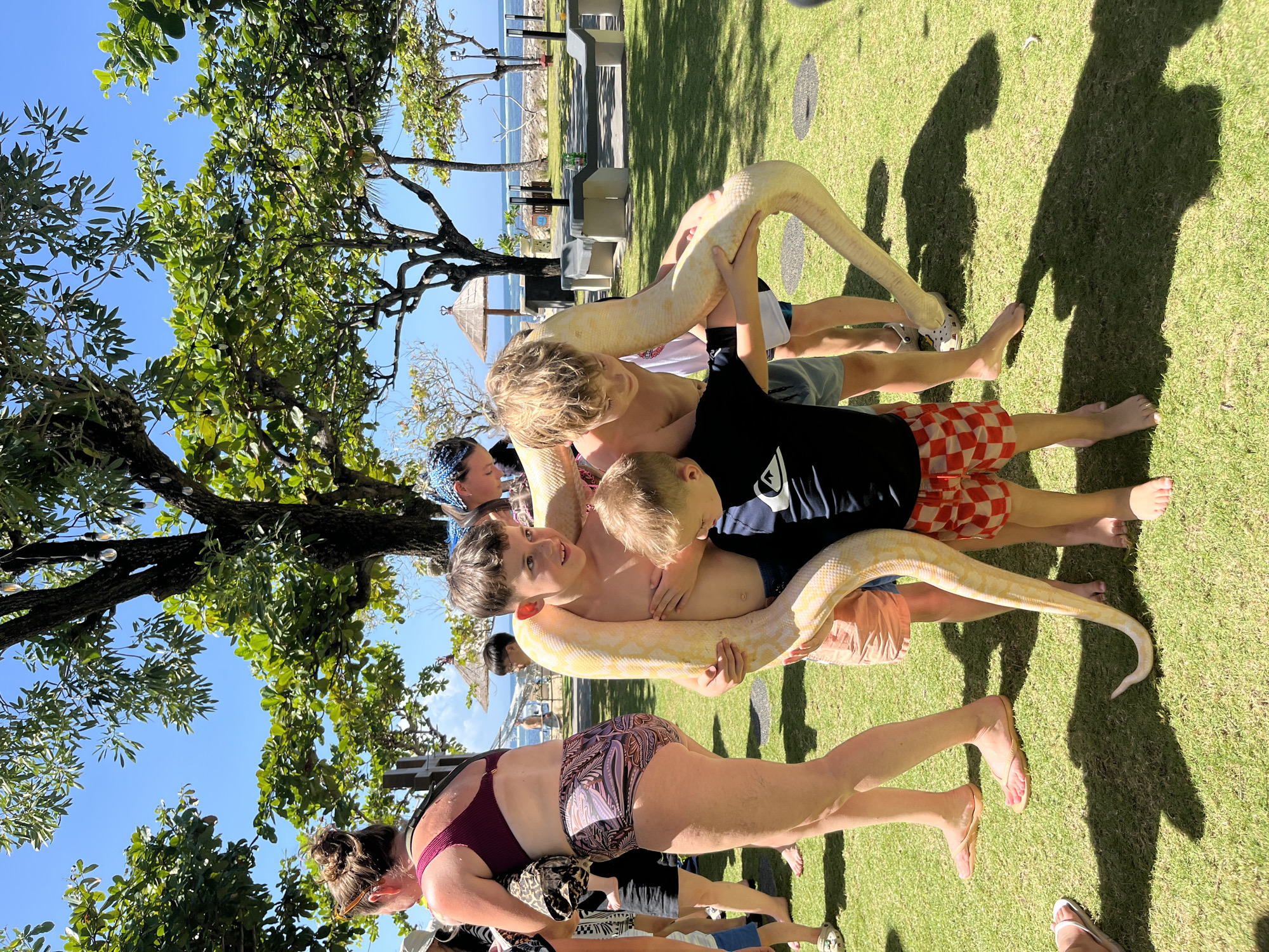 In Kuta Selatan, Indonesia, on a sunny day, a large albino python is being held by two young boys outdoors on a grassy area. The boy on the left, wearing a black t-shirt with a white logo and red checkered shorts, has his arms wrapped around the snake's body, while the boy on the right, wearing light-colored shorts, has his arms supporting the snake's head and upper body. A third, younger boy in a black t-shirt and red checkered shorts is positioned in front of them, his hands also on the snake.
In the background, several adults and children are visible, some appearing to be onlookers. One woman in the foreground is wearing a maroon bikini top and patterned shorts. Beyond them, there is a beach with calm water, lounge chairs, and trees. The overall setting suggests a tropical outdoor event or attraction.