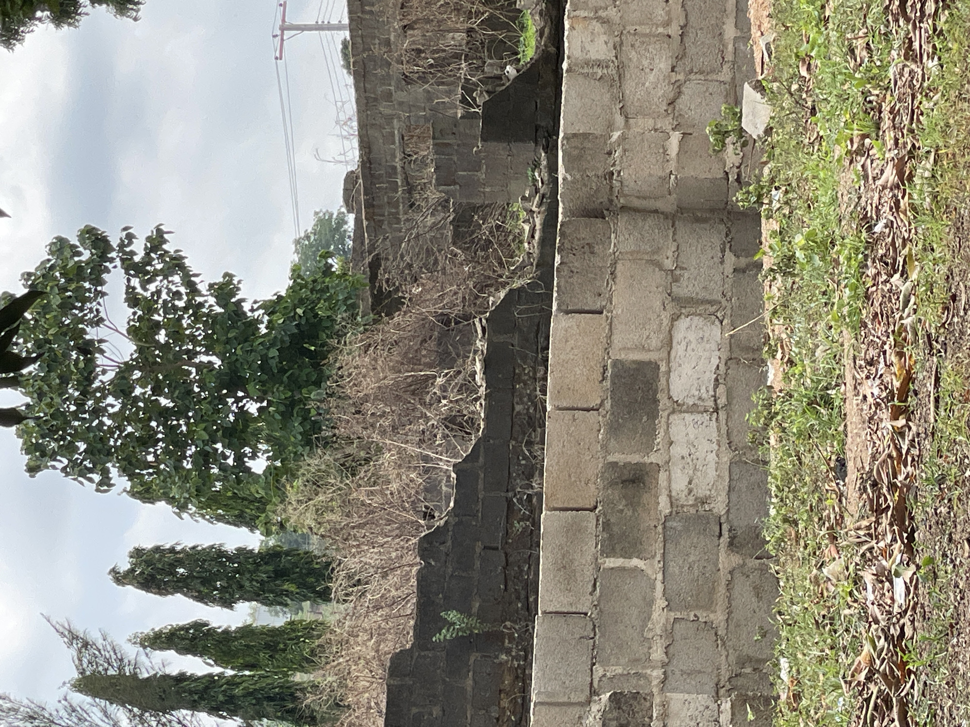 The image depicts a partial view of a building under construction or partially demolished in what is presumed to be Akwanga, Nigeria, based on the prompt's information. The structure is made of grey concrete blocks. One section of the wall is a lighter shade than the other. Vegetation, consisting of dried twigs and grass, grows around the structure. In the background, trees are visible under a cloudy sky. A utility pole with wires is visible in the distance.