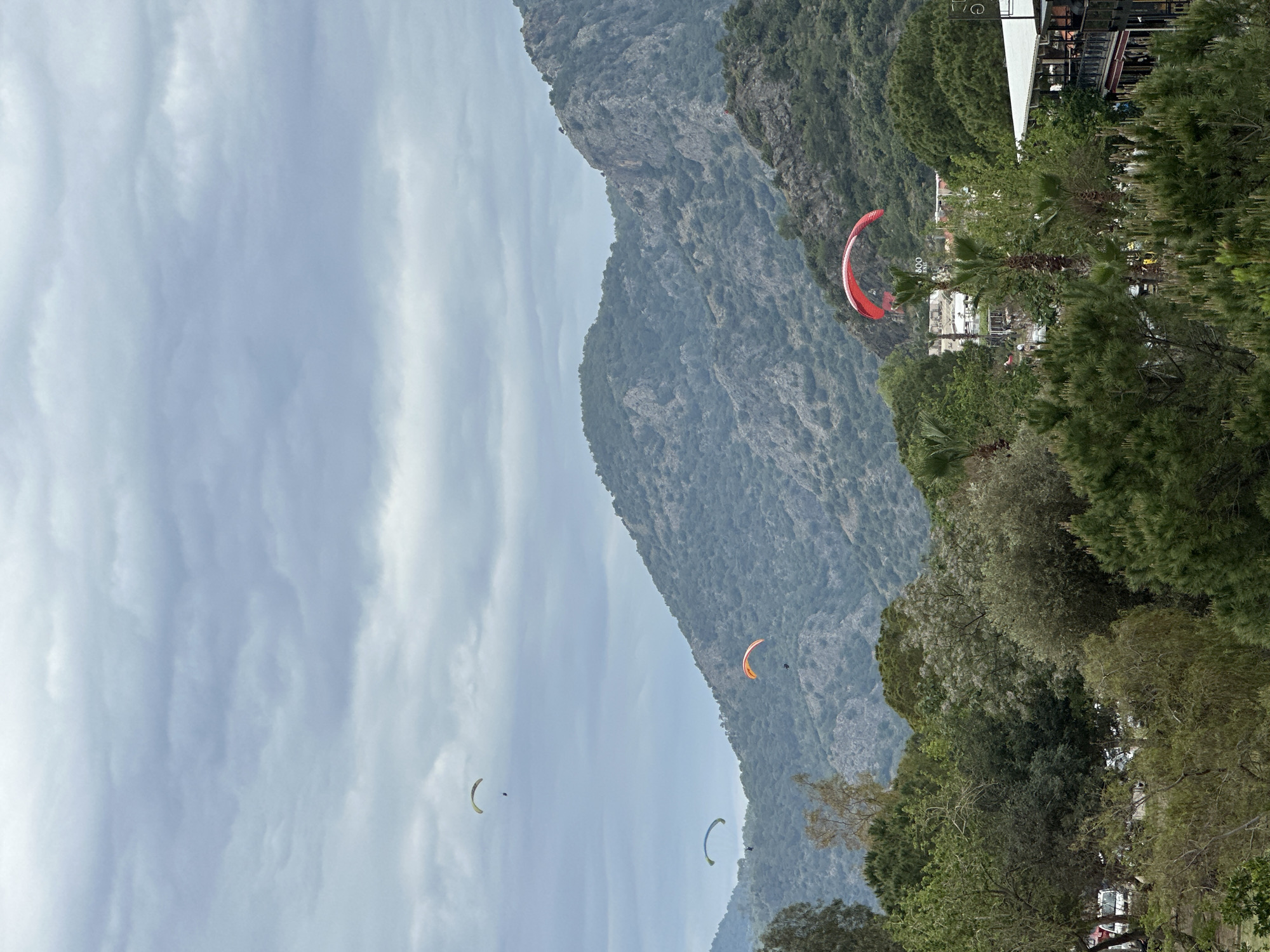 The image captures a vibrant paragliding scene over a mountainous landscape, characteristic of Fethiye, Turkey. The sky, filled with soft, diffused light from an overcast cloud cover, occupies the upper portion of the frame. Several paragliders are suspended in the air, with canopies of various colors, including a striking red one in the foreground to the right, an orange one in the mid-distance, and lighter green and blue ones further left.
A steep, rugged mountain range, heavily forested with diverse green trees, dominates the background and middle ground. Towards the base of the mountains and in the foreground, dense clusters of trees, including conifers and palm trees, frame parts of the scene. Amongst these trees, several buildings are visible. On a white building below the red paraglider, the numbers "800" are clearly discernible, followed by partial text that appears to be "PAL" or "PAR," possibly indicating "800 Paragliding" or a local business. Another building higher on the right also shows faint, unreadable text.
The activity clearly depicted is paragliding, with multiple individuals enjoying flights over the scenic area. The time of day appears to be daytime, under cloudy conditions. The overall atmosphere suggests an adventurous yet serene experience amidst stunning natural beauty and tourist infrastructure.