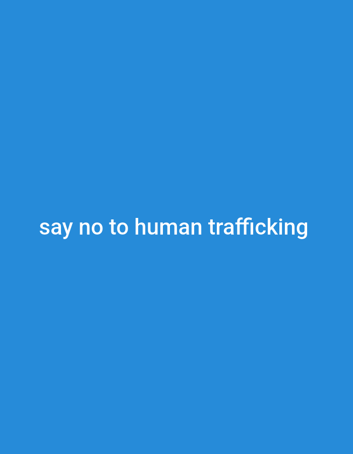 A blue background with white text that reads "say no to human trafficking".