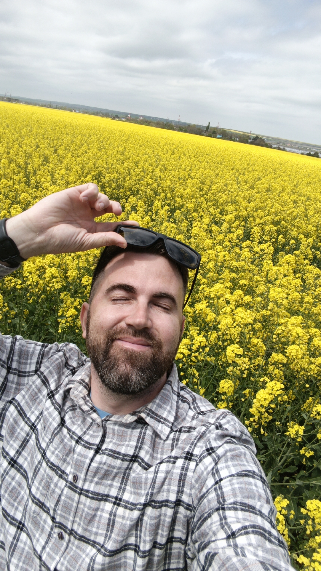 A selfie depicts a man with a beard and a plaid shirt standing in a field of yellow flowers. He is holding sunglasses on his forehead. The location is Krasny Kurgan, Russia.