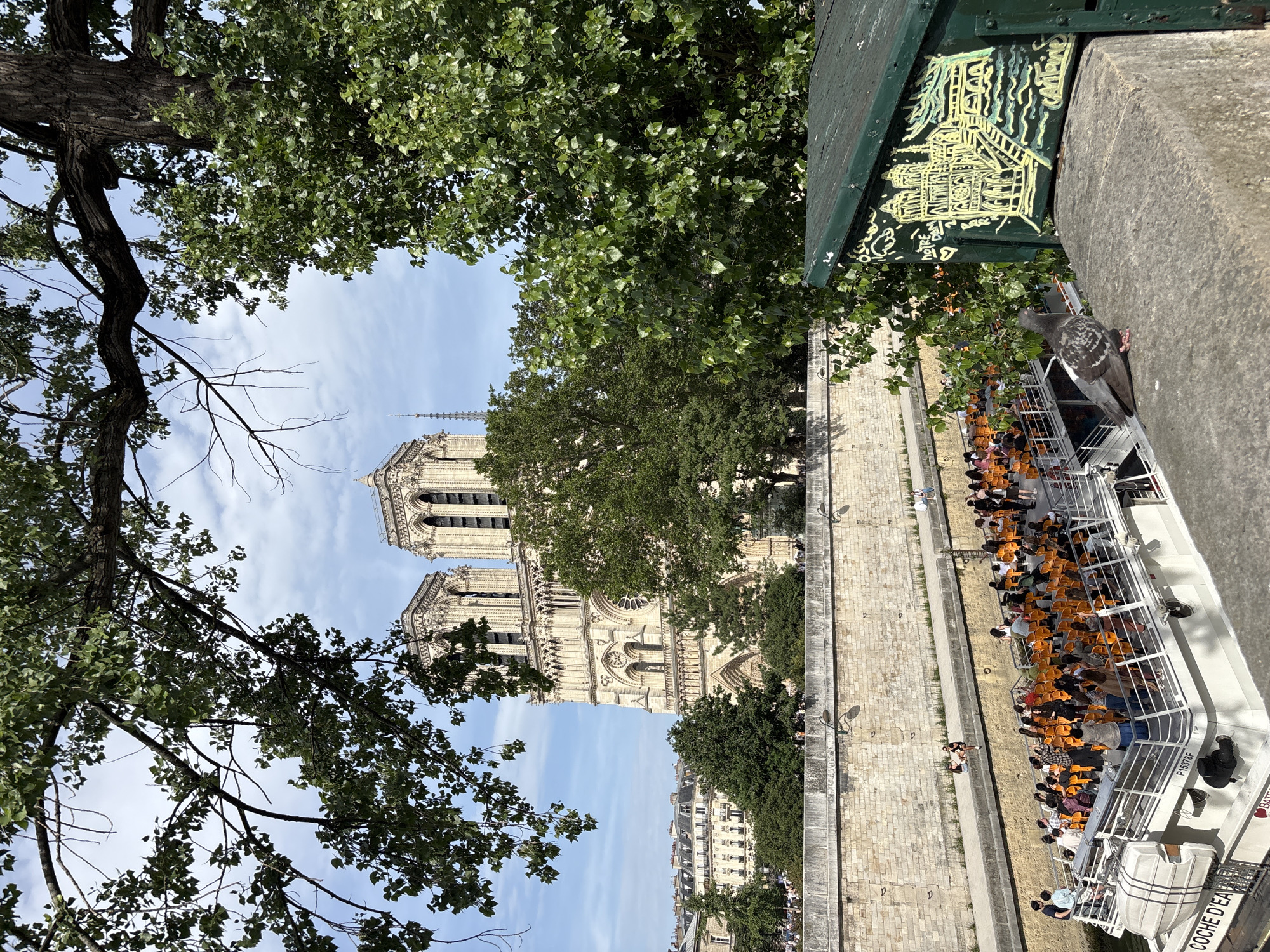 The image shows a view of Notre Dame Cathedral in Paris, France, from across the Seine River. A tour boat filled with passengers is visible in the foreground, sailing on the river. Trees frame the scene, with the leaves of a large tree partially obscuring the sky. A pigeon is perched on a stone railing in the lower right corner of the image, in front of a green box decorated with a drawing of Notre Dame. The sky is partly cloudy, and the sun appears to be shining.