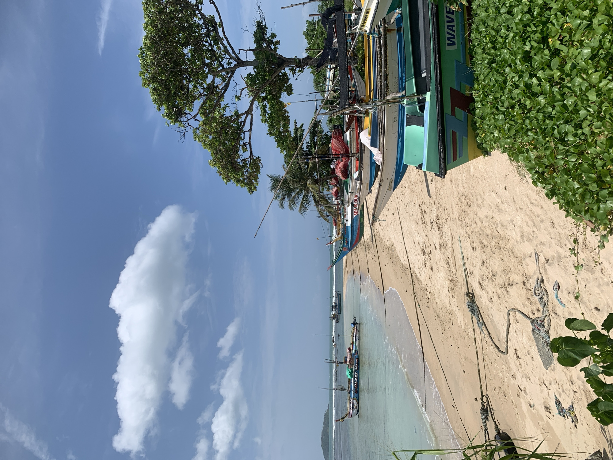 A sunny daytime, medium-shot, eye-level photograph captures a serene beach scene in Weligama, Sri Lanka. The foreground is dominated by a sandy beach dotted with several colorful fishing boats, some moored and others gently bobbing in the shallow, turquoise water. Thick green vegetation sprouts from the right side of the frame, and a large tree with a sprawling canopy stands tall on the sandy shore. The ocean stretches out to the horizon under a clear blue sky with scattered white clouds. In the distance, a small island with lush green vegetation is visible. The overall ambiance is peaceful and picturesque, showcasing a typical coastal landscape of the region.