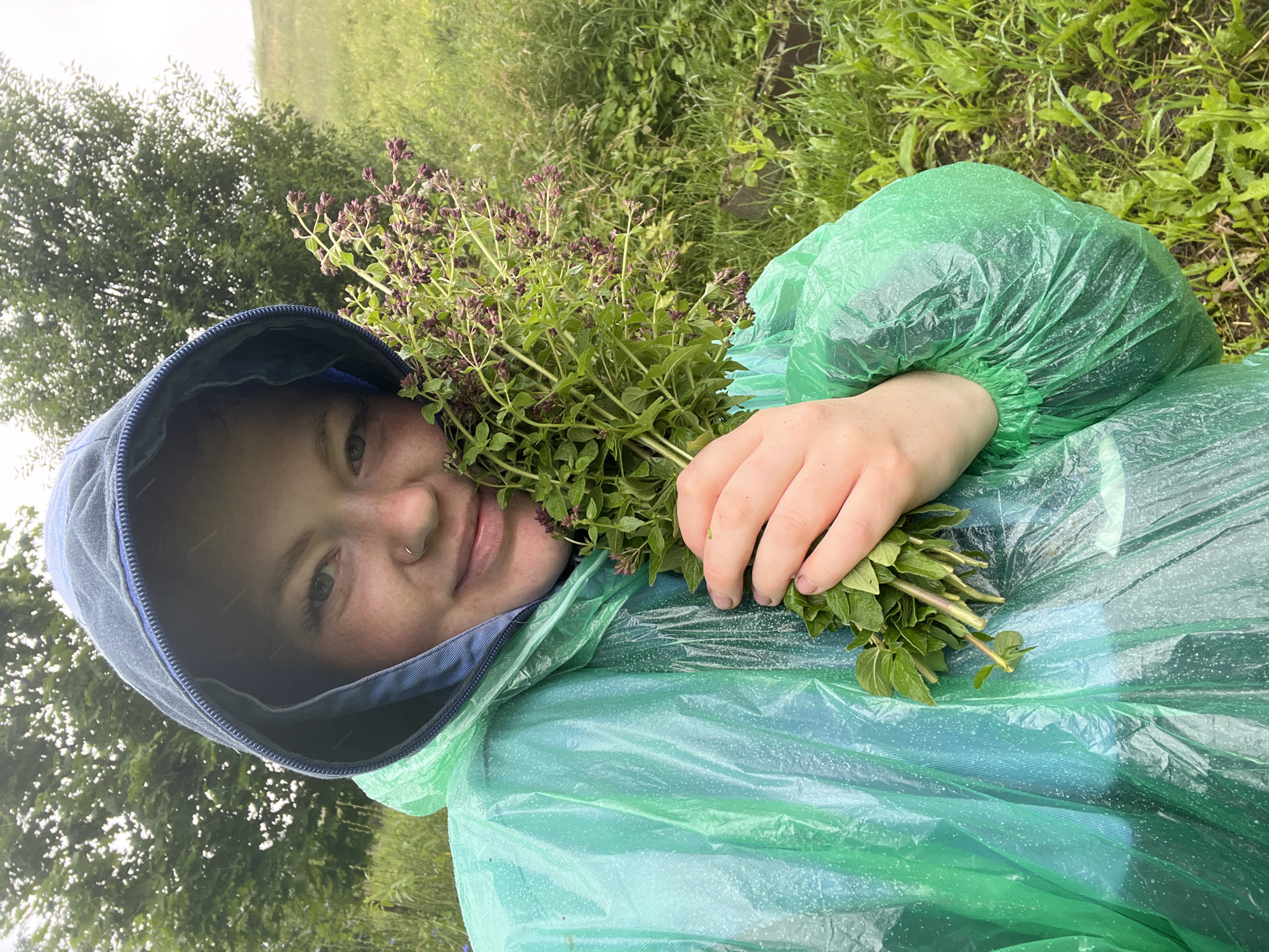 A young woman wearing a green hooded poncho and a blue undershirt is holding a bundle of harvested herbs in her right hand and arm. She has a nose ring and appears to be looking towards the camera with a slight smile. The background consists of a grassy field with trees and vegetation. The scene suggests an outdoor setting, possibly in a rural area near Olkhovka, Russia, given the context of harvesting herbs. The weather appears to be overcast or rainy, as indicated by the wet surface of the poncho and potential water droplets on the hood.
