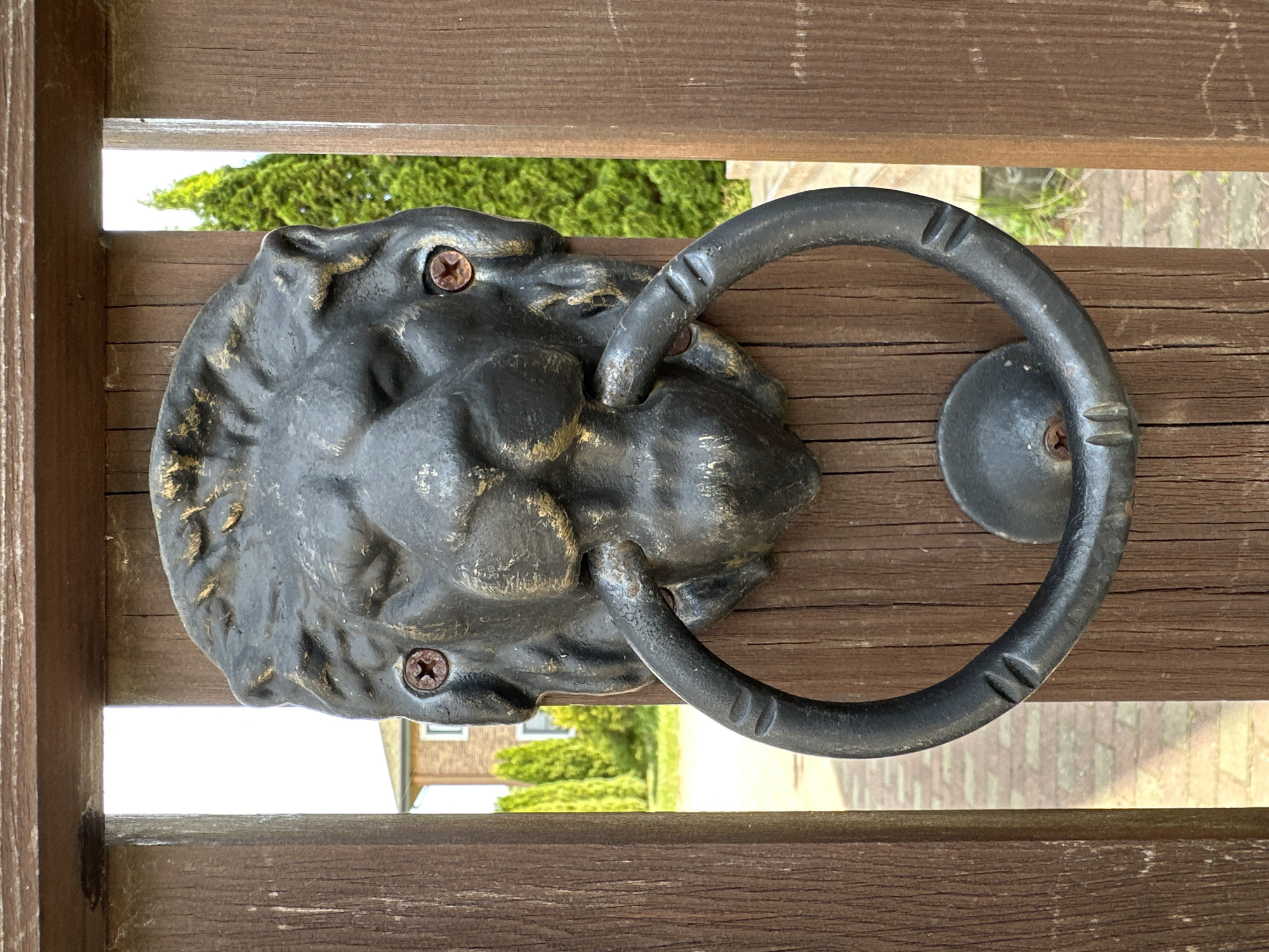 A weathered, dark metal lion-head door knocker is centrally mounted on a vertical wooden gate plank in Novoglagolevo, Russia. The knocker features a detailed lion's head with a stylized mane and a heavy, dark metal ring held in its mouth, currently in a resting position. The lion's head is secured by two rusted cross-head screws in the eye areas, and the ring's base by a single flat-head screw. The gate is constructed from dark brown, vertically oriented wooden planks with visible grain and minor weathering, featuring significant gaps between them. Through these gaps, a blurred background reveals a paved pathway of light-colored bricks, several conical green evergreen trees, and a distant two-story building constructed of reddish-brown brick with white-framed windows, all under a bright, possibly overcast, daytime sky.