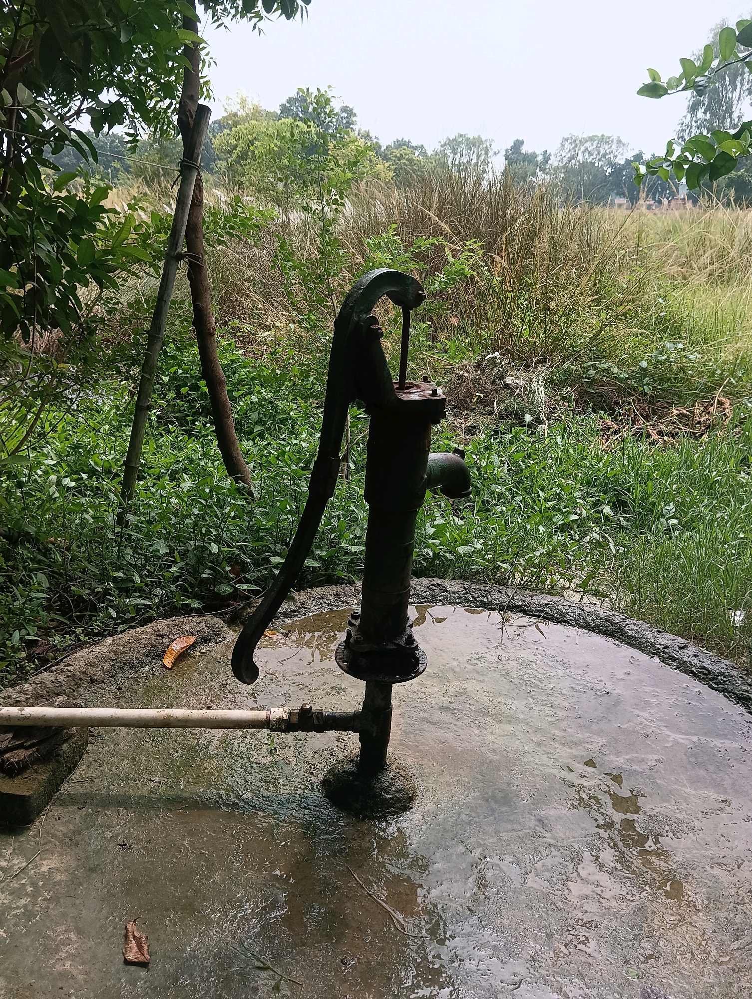 The image depicts an outdoor scene with a rusty hand water pump positioned in the foreground, surrounded by a circular concrete structure filled with murky water. A white pipe extends horizontally from the pump, disappearing into the left side of the frame. The ground around the pump is wet and muddy. In the background, lush green vegetation, tall dry grasses, and trees are visible under an overcast sky. The overall setting appears to be rural, likely in Dakhin Parsa, India, given the context. There are no people or animals present in the image. The scene is static and shows no active events.