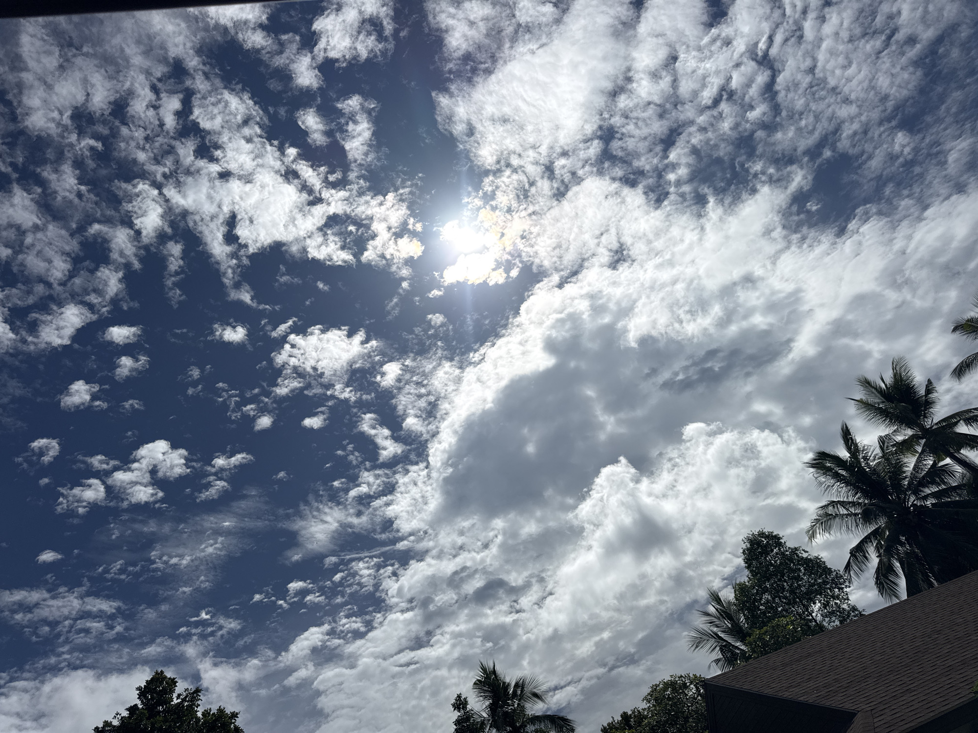 The image captures a sky filled with scattered white clouds against a deep blue sky, with the sun prominently visible and creating a lens flare. In the lower left portion of the frame, a brown-tiled roofline of a building is visible, partially obscuring lush green trees and several palm trees with their fronds silhouetted against the sky. The scene is taken from a low angle, looking upwards, suggesting it was captured from ground level on the island of Koh Phangan, Thailand, possibly in a residential or tropical setting.