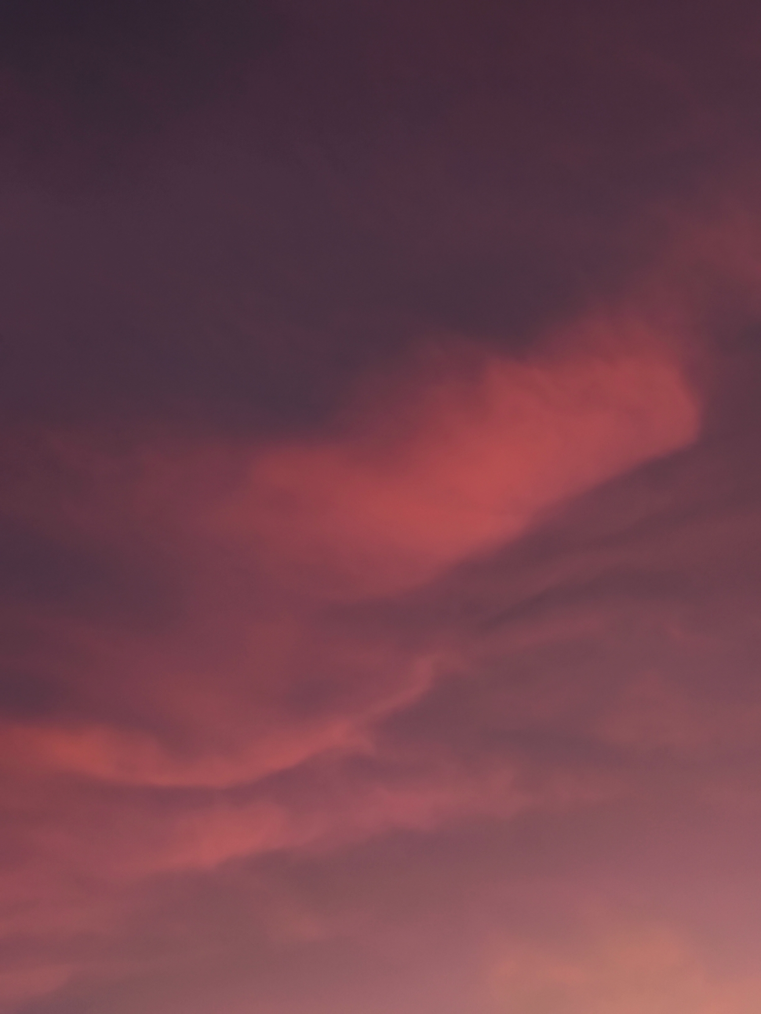 The image is a close-up, vertical shot of a sunset sky, dominated by hues of deep purple, vibrant pink, and soft orange. Wispy clouds, tinged with red and purple, are scattered across the frame, their edges blurred and indistinct. The lighting suggests it is dusk or dawn. The image does not depict any specific location in Kaliningrad, Russia, nor does it include any people, subjects, objects, or actions. It is a purely atmospheric and abstract representation of the sky.