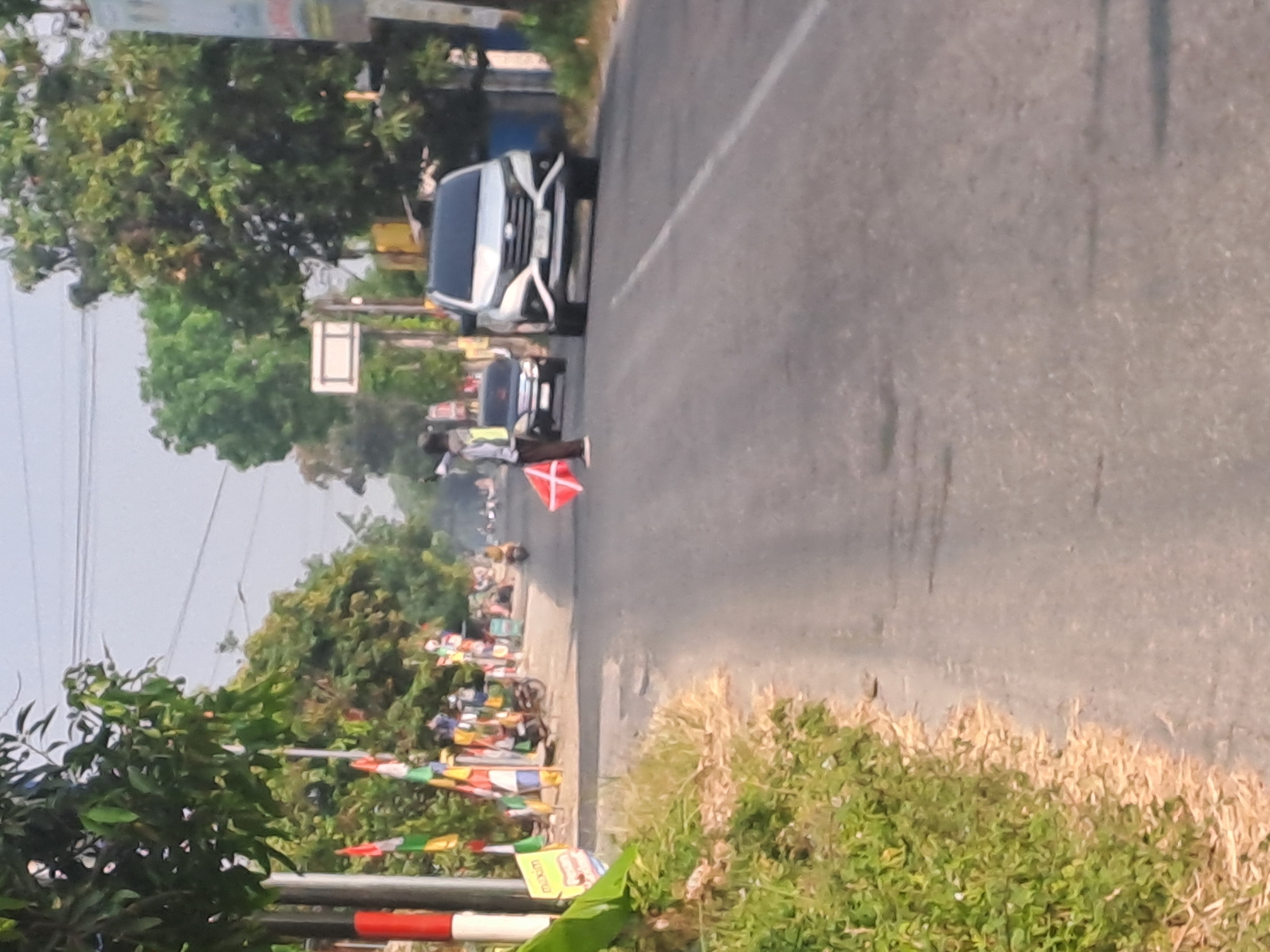 The image captures a street scene in Singgahan, Indonesia. A person wearing a yellow vest and dark pants stands on the asphalt road, holding a red and white square flag with a cross symbol. Two cars are on the road; a silver SUV is closer to the foreground, and a darker sedan is behind it. The road is paved and appears to be a two-lane street with a white dividing line. On the left side of the road, there is a grassy verge with dry straw and lush green vegetation. A few poles with colorful Indonesian flags and banners are planted along the verge. Trees with dense green foliage line the sides of the road, and overhead power lines are visible in the background. The sky is clear and bright, indicating daytime. The overall impression is a snapshot of a somewhat busy road with traffic and decorative elements.
