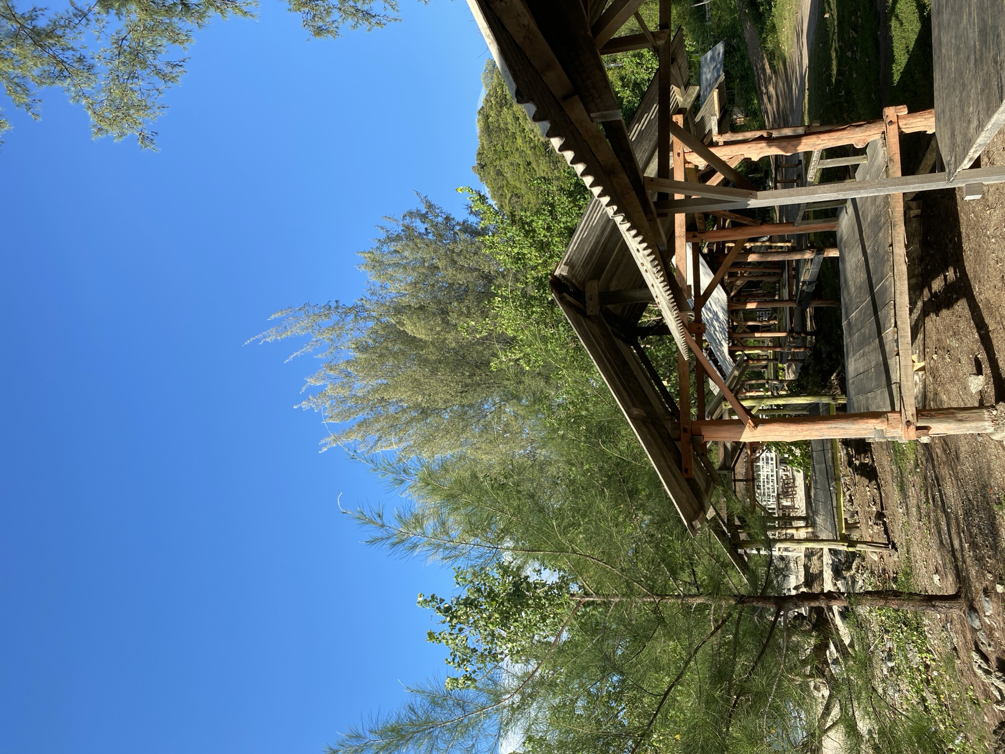 The image depicts a row of open-air wooden gazebos with corrugated metal roofs, situated on a slight incline near a shoreline, likely in Naga Umbang, Indonesia. The gazebos are constructed with rough-hewn wooden posts and beams, supporting elevated wooden platforms. The one in the foreground is angled to the right, showing a partial view of its wooden surface and supporting structure. Further gazebos recede into the background, creating a sense of depth. The ground beneath and around the structures is a mix of dirt, sand, and scattered rocks. Lush green foliage, including tall pine-like trees and smaller leafy trees, surrounds the area, with a clear, bright blue sky above. The lighting suggests it is daytime, with sunlight casting shadows on the ground. The shoreline is visible to the left, with the sea beyond, though it is not the primary focus. There are no people visible in the image.