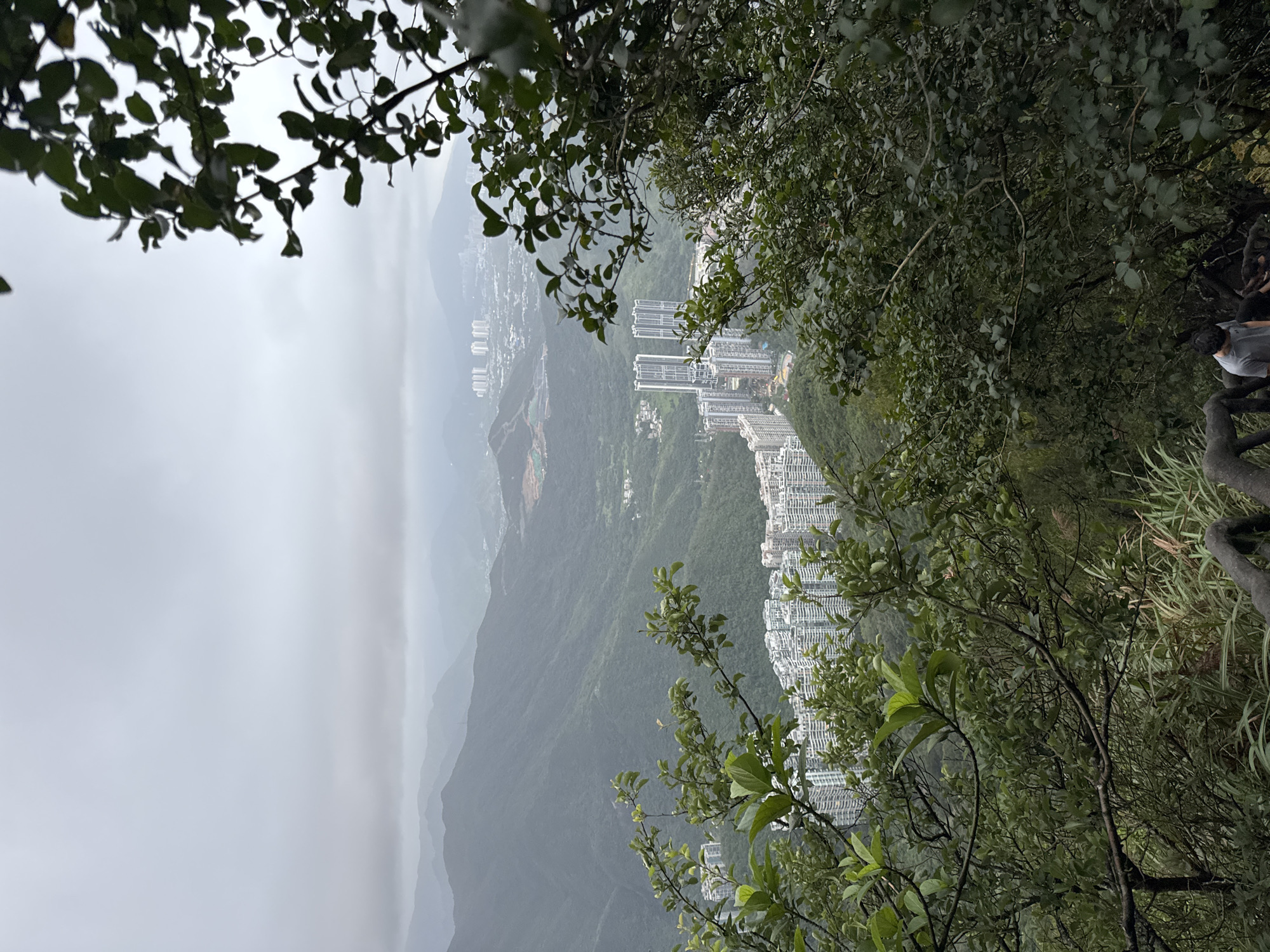 An eye-level outdoor shot taken from an elevated location, likely a hillside or mountain, overlooking a densely populated urban area in Luohu District, China. Dominating the foreground and edges of the image are branches and leaves of trees, partly obscuring the view. In the middle ground, several high-rise buildings are visible, running along the hillside. The terrain is a mix of greenery and built-up areas. In the background, mountains fade into the horizon under an overcast sky, implying hazy weather conditions. A portion of a person is visible on the right side of the image, partially cut off by the frame.