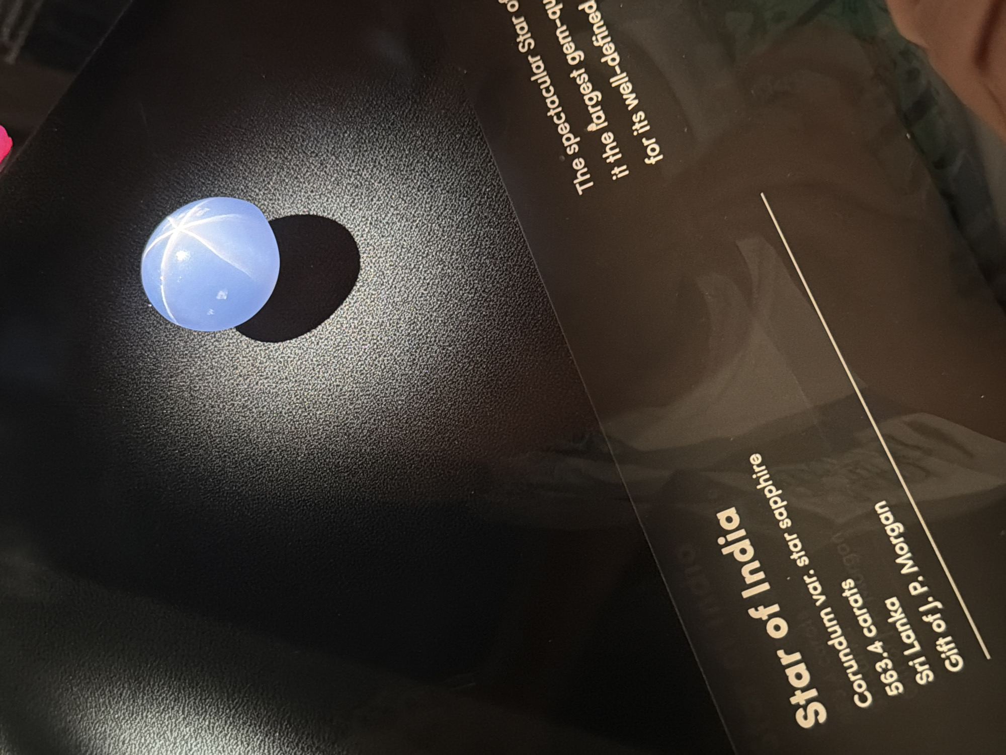 The image shows a close-up, eye-level view of the "Star of India" sapphire displayed on a textured black surface. The sapphire is a light blue, cabochon-cut gemstone with a prominent six-rayed star (asterism) visible on its surface, caused by the mineral rutile inclusions. The gem is positioned to the right of center in the frame, casting a soft shadow to its left. In the foreground, a black placard with white text describes the sapphire. The visible text on the placard reads: "Star of India", "Corundum var. star sapphire", "563.4 carats", "Sri Lanka", and "Gift of J. P. Morgan". The lower portion of the placard also contains a partial line of text, "The spectacular Star of" and "it the largest gem-qu" and "for its well-defined". The background is a dark, textured surface, likely part of the display case or exhibit. There are no people clearly visible in the frame, though a hint of a hand is visible at the bottom right corner. The lighting is diffused, highlighting the gemstone and the text on the placard. This display is located at the American Museum of Natural History in New York City, United States of America.