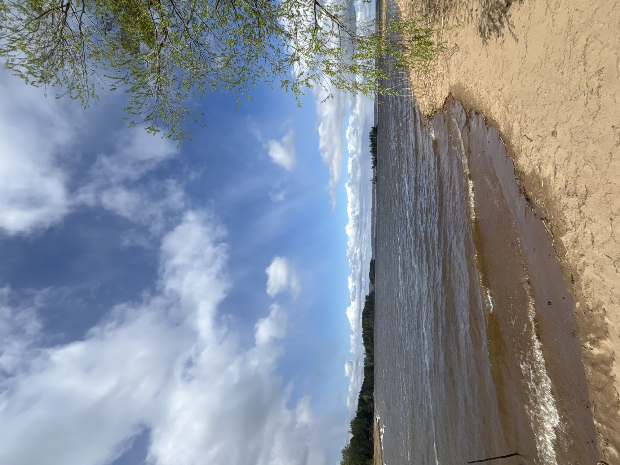 A landscape photograph taken at Vekoshinka, Russia presents a tilted view of a beach. The photo features a body of water, likely a lake, meeting a sandy shoreline on the right side of the frame. The water's surface appears slightly choppy. The shoreline consists of sand and some vegetation. Above the water, the sky is visible, displaying a mix of blue sky and white clouds. Branches of a tree hang down from the top corners of the photo, with fresh green leaves.