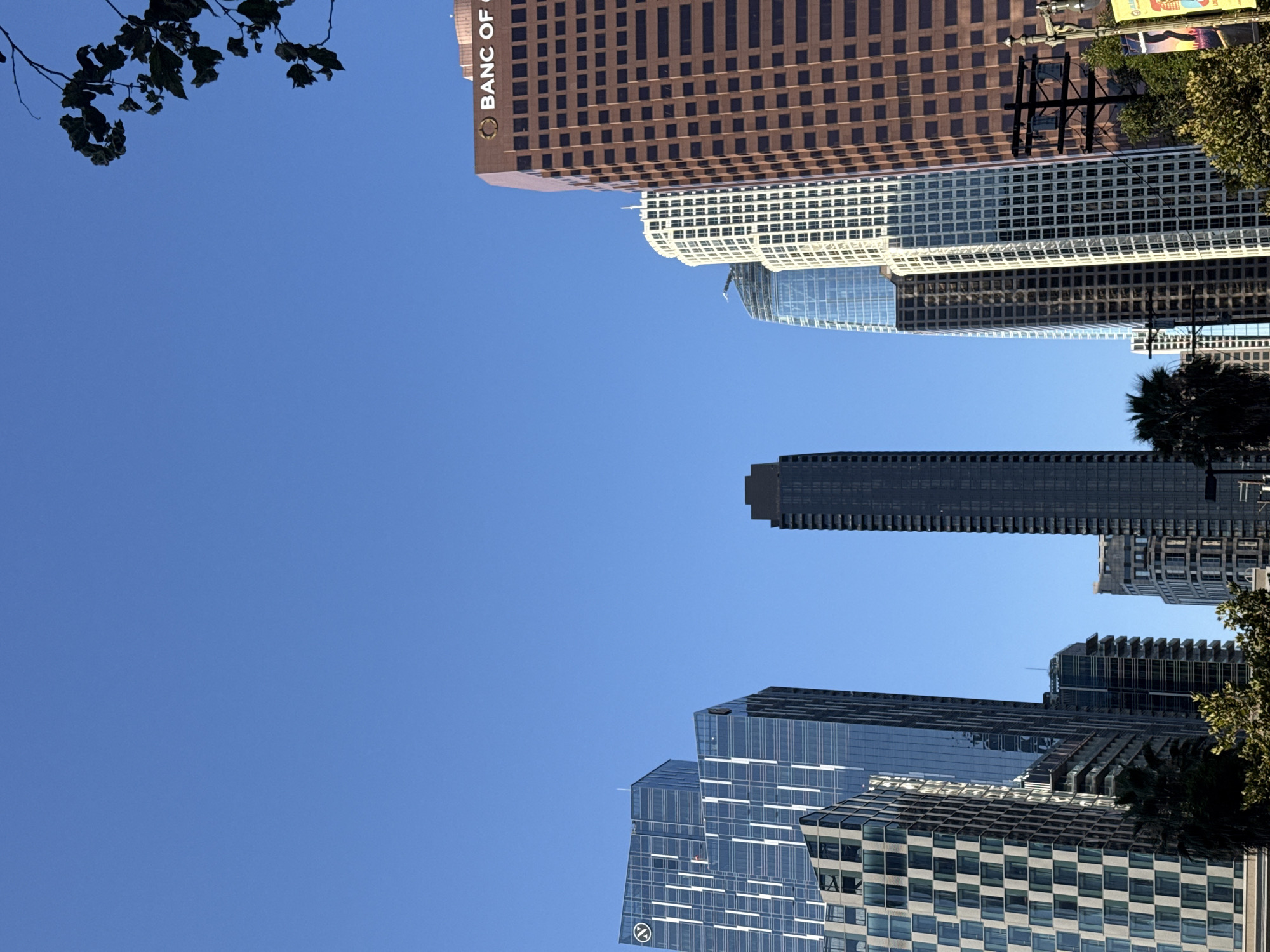 The image shows a clear blue sky over a dense collection of modern skyscrapers in downtown Los Angeles, California, United States of America. The buildings vary in architectural style and height, with several notable structures including the brown brick-clad building with "BANC OF C" visible at the top, a tall, slender black skyscraper, and multiple glass-fronted towers with intricate grid patterns. The perspective is from ground level, looking upwards at the architecture. Trees and foliage are visible at the bottom of the frame, suggesting a street-level view. Utility poles and wires are present in the foreground on the right side of the image. No people are visible in the frame. The lighting suggests it is daytime, likely morning or afternoon, given the bright sunlight and clear sky.