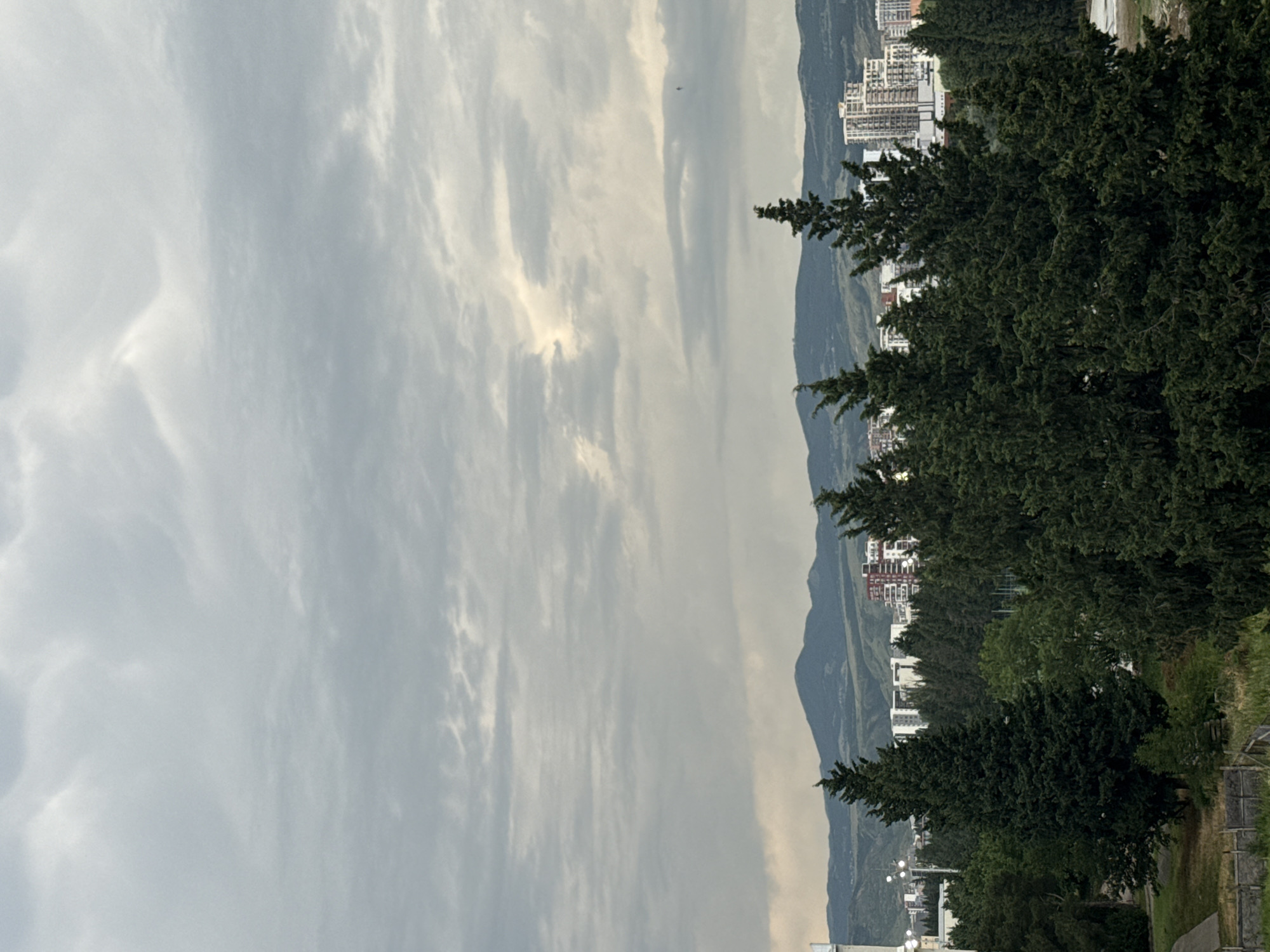 The image captures a cityscape of Tbilisi, Georgia, under a cloudy sky with layered mountain ranges in the distance. In the foreground, dense green evergreen trees dominate the lower half of the frame. Behind the trees, a collection of multi-story buildings, some with modern architectural designs featuring light-colored facades and balconies, are visible. The sky is overcast with textured gray clouds, with patches of lighter sky indicating diffuse sunlight. The overall scene suggests an urban environment bordered by natural landscapes.