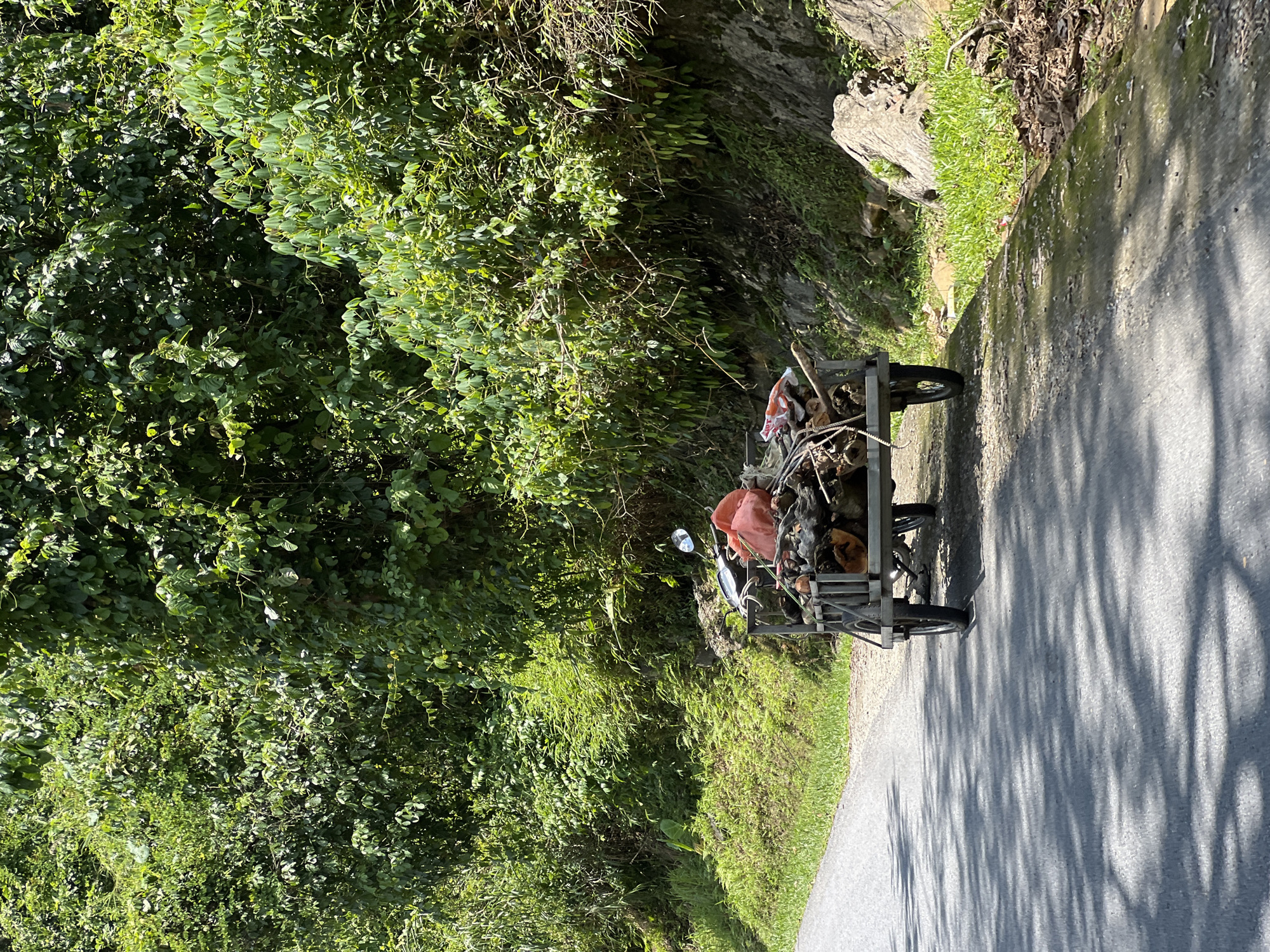 An overhead shot captures a dusty, grey asphalt road running alongside a lush green, tree-covered hillside under bright sunlight. Shadows of leaves dapple the road. On the right side of the road, a small, two-wheeled cart, likely pulled by a motorcycle, is loaded with firewood and a large, bright red bag. The cart and its contents are positioned on the grassy shoulder of the road. The background is dominated by dense foliage and trees, indicating a natural, possibly rural setting. The scene appears to be in a tropical or subtropical climate, given the vibrant greenery. The location is identified as Thuận Hòa Commune, Vietnam.