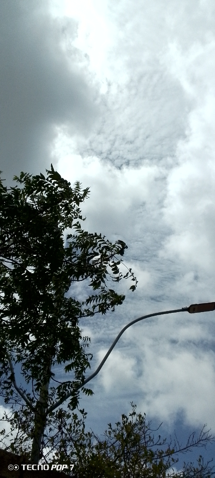 This image captures a view of a streetlamp and tree branches against a cloudy sky in Altagracia, Venezuela. The streetlamp, with its orange-tinted light fixture, extends diagonally from the right side of the frame towards the center. Silhouetted against the sky, a large tree with dark green leaves occupies the left and upper portion of the image, its branches reaching upwards and outwards. In the lower part of the image, other trees with sparser foliage are visible. The sky is filled with a mix of dark and bright clouds, suggesting an overcast or potentially stormy weather condition. A watermark that reads "TECNO POP 7" is present in the lower left corner.