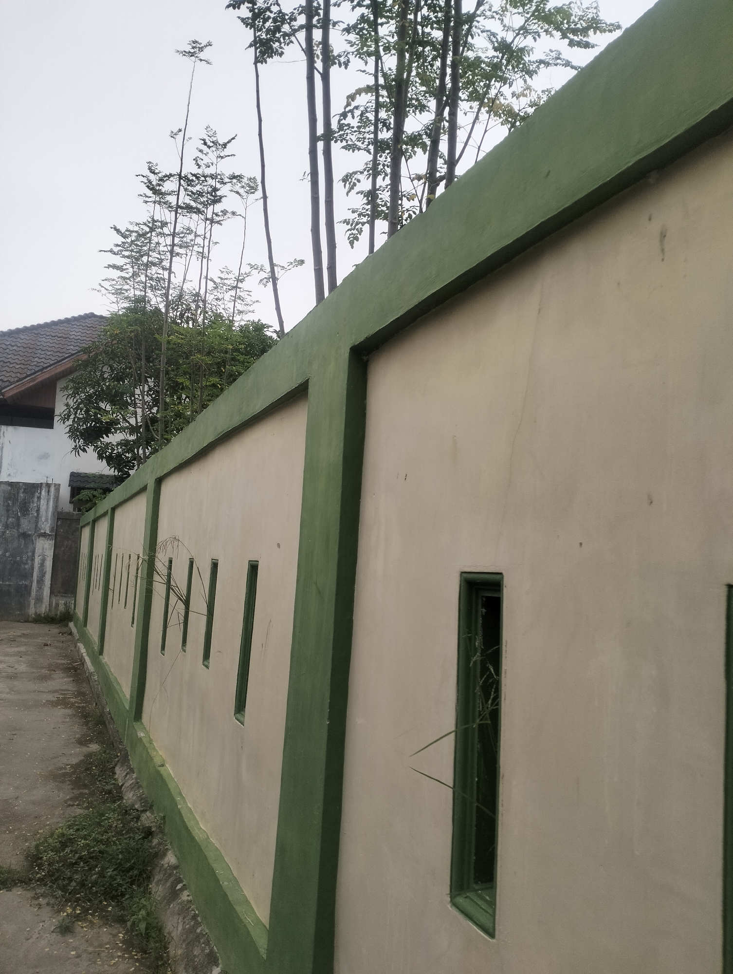 The image shows a pale yellow concrete wall with a green trim, running diagonally from the lower left to the upper right of the frame. The wall has regularly spaced, narrow rectangular openings, each outlined in green. Some of these openings have thin blades of grass growing through them. To the left of the wall, there is a narrow paved pathway, with some weeds and debris along the edge. Further to the left, a portion of a building with a tiled roof and white walls is visible. Behind the wall, several tall, thin trees with sparse foliage rise against an overcast sky. The overall impression is that of an outdoor scene in an urban or semi-urban environment in Lhokseumawe, Indonesia.