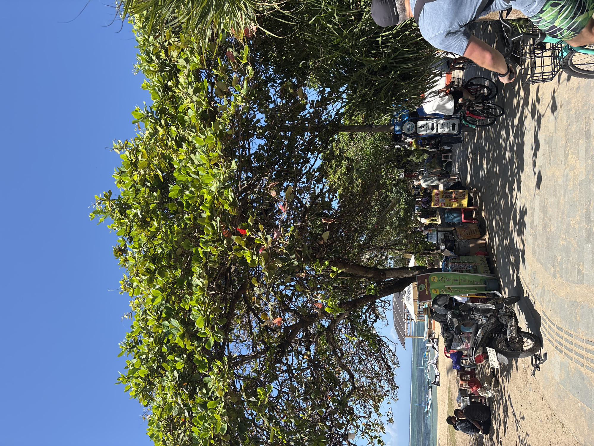 The image captures a sun-drenched beach path in Denpasar, Indonesia, on a clear day. A large, leafy tree dominates the foreground, casting dappled shadows on the paved walkway below. To the left, a sandy beach stretches towards the ocean, dotted with several small boats. Several individuals are seated on the sand, some appearing to be engaged in conversation, while others are relaxed. A black motorcycle is parked on the sand near the walkway. Along the pathway, a row of small vendor stalls displays various goods, with signs indicating prices in local currency. People are seen walking and cycling along the path. In the background, more trees and lush vegetation line the area. The sky is a vibrant, cloudless blue.