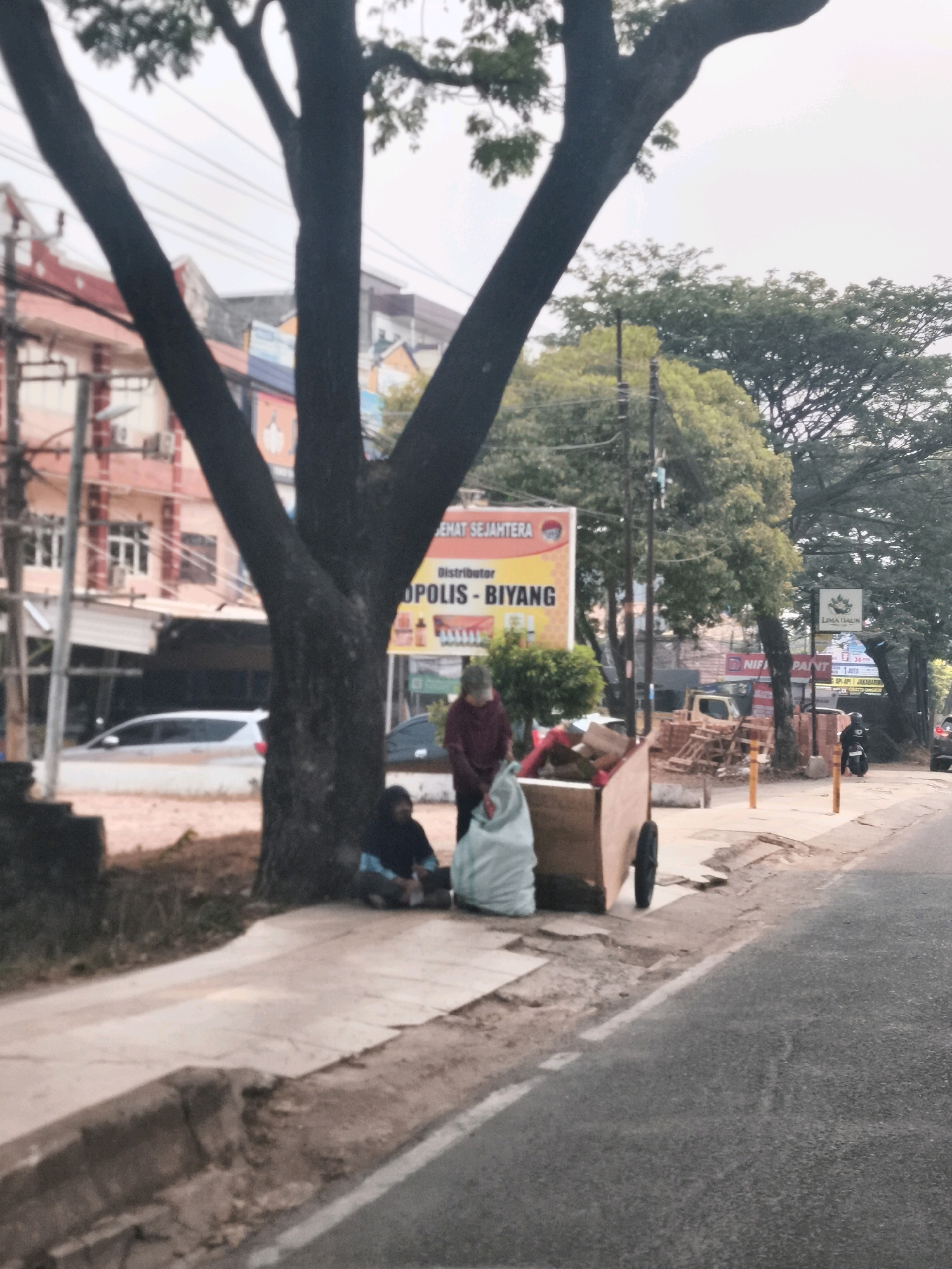 This image captures a street scene in Palembang, Indonesia, likely near Jalan Mayor Zen. In the foreground, a large tree trunk dominates the left side of the frame. Beside it, a woman in a dark hijab and light-colored clothing is sitting on the sidewalk, resting her chin on her hand. Next to her, a large, light-blue plastic bag is placed on the ground. Further to the right, a wooden cart filled with various items, including what appear to be boxes and plastic bags, is positioned on the sidewalk. Another person, wearing a maroon shirt, stands beside the cart, holding a light-blue plastic bag.
The background reveals a roadside environment with several buildings, including a multi-story structure with red and white detailing. A billboard with Indonesian text, featuring "SEJAHTERA" and "OPOLIS - BIYANG," is prominently displayed. Electrical wires crisscross overhead. Trees with dense foliage line the street, suggesting a well-established urban area. The asphalt road is visible on the right side of the image, with a white line marking the edge. A scooter is parked on the sidewalk further down the street. The overall impression is of a typical urban street with daily life unfolding.