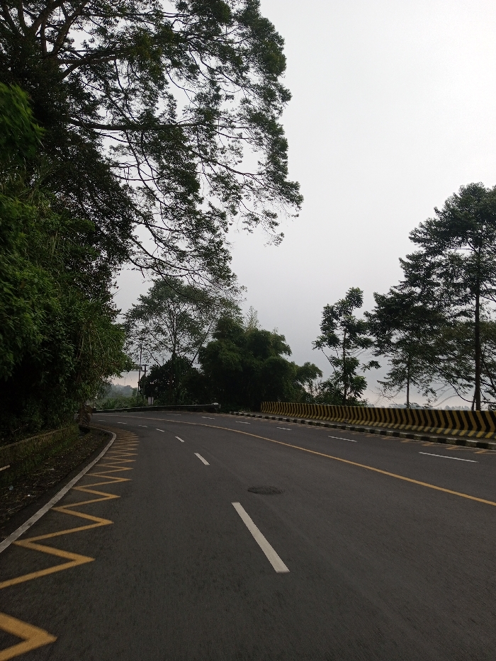 An empty asphalt road curves through a landscape dominated by lush greenery. Tall trees with dense foliage frame the upper portion of the image. Painted yellow lines and white dashes mark the road's lanes. A striped barrier borders the road's edge, indicating a drop-off or embankment. The sky is overcast, suggesting a cloudy day. The scene evokes a sense of tranquility and isolation.