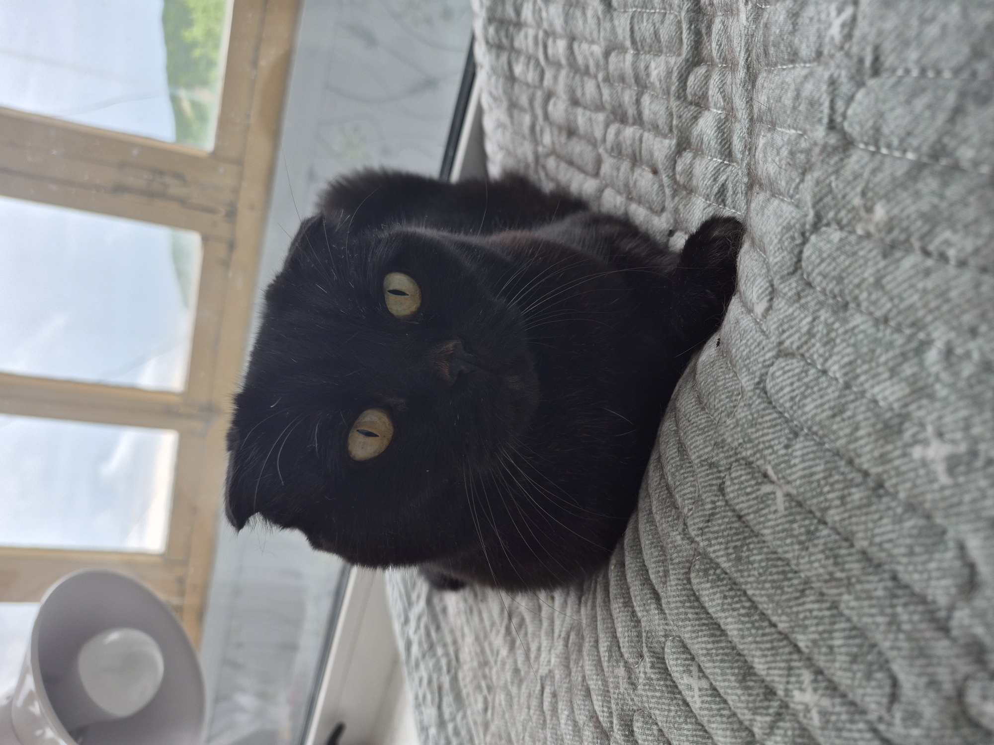 A black cat with yellow eyes is lying on a gray quilted mat. The cat is positioned in the center of the frame, looking directly at the camera. Behind the cat, a window with wooden panes reveals a cloudy sky and distant green hills. To the left of the cat, part of a white lamp is visible. The scene is indoors, likely near a window in Uglegorsk, Russia.