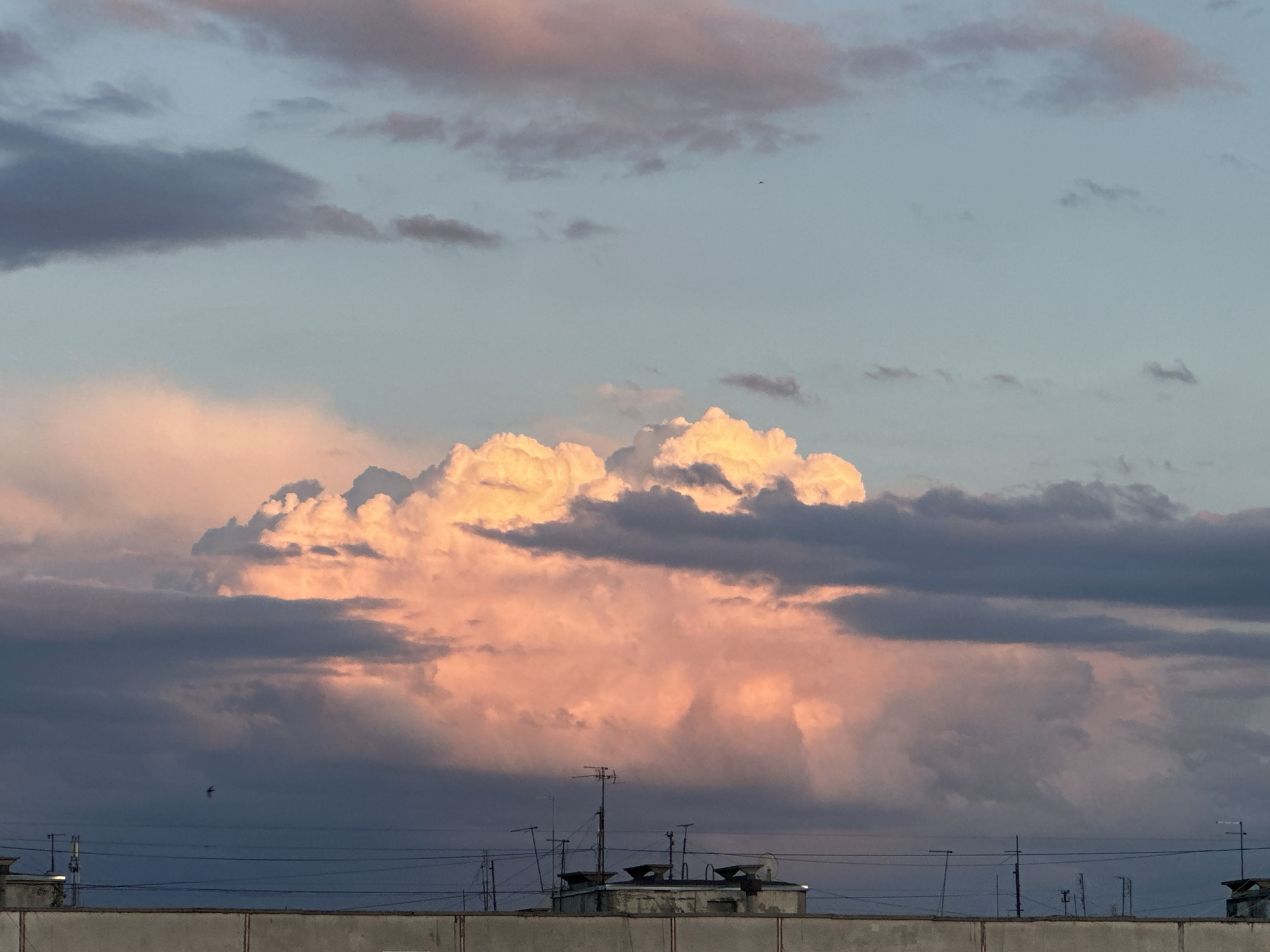 The image depicts a dramatic sky over a city, likely at sunset or sunrise, given the warm, pastel colors illuminating the clouds. The dominant feature is a large, fluffy cumulus cloud formation in the center, glowing with a vibrant pink and orange hue, suggesting it's catching the last or first rays of sunlight. This central cloud is partially obscured by darker, lower-lying clouds in shades of grey and deep blue, creating a sense of depth and contrast.
The upper portion of the sky transitions into a pale blue, with scattered, wispy clouds in muted purples and grays. Two small birds are visible in flight against the sky, adding a sense of scale and movement.
Below the sky, the scene is dominated by a rooftop landscape. A long, grey concrete wall or building facade stretches across the bottom of the image. Above this wall, the roofs of several buildings are visible. These rooftops are cluttered with various antennas and what appear to be ventilation units or small structures. The electrical wires strung between poles are also a prominent feature in this urban foreground. The overall impression is of an urban environment looking up at a spectacular natural phenomenon.