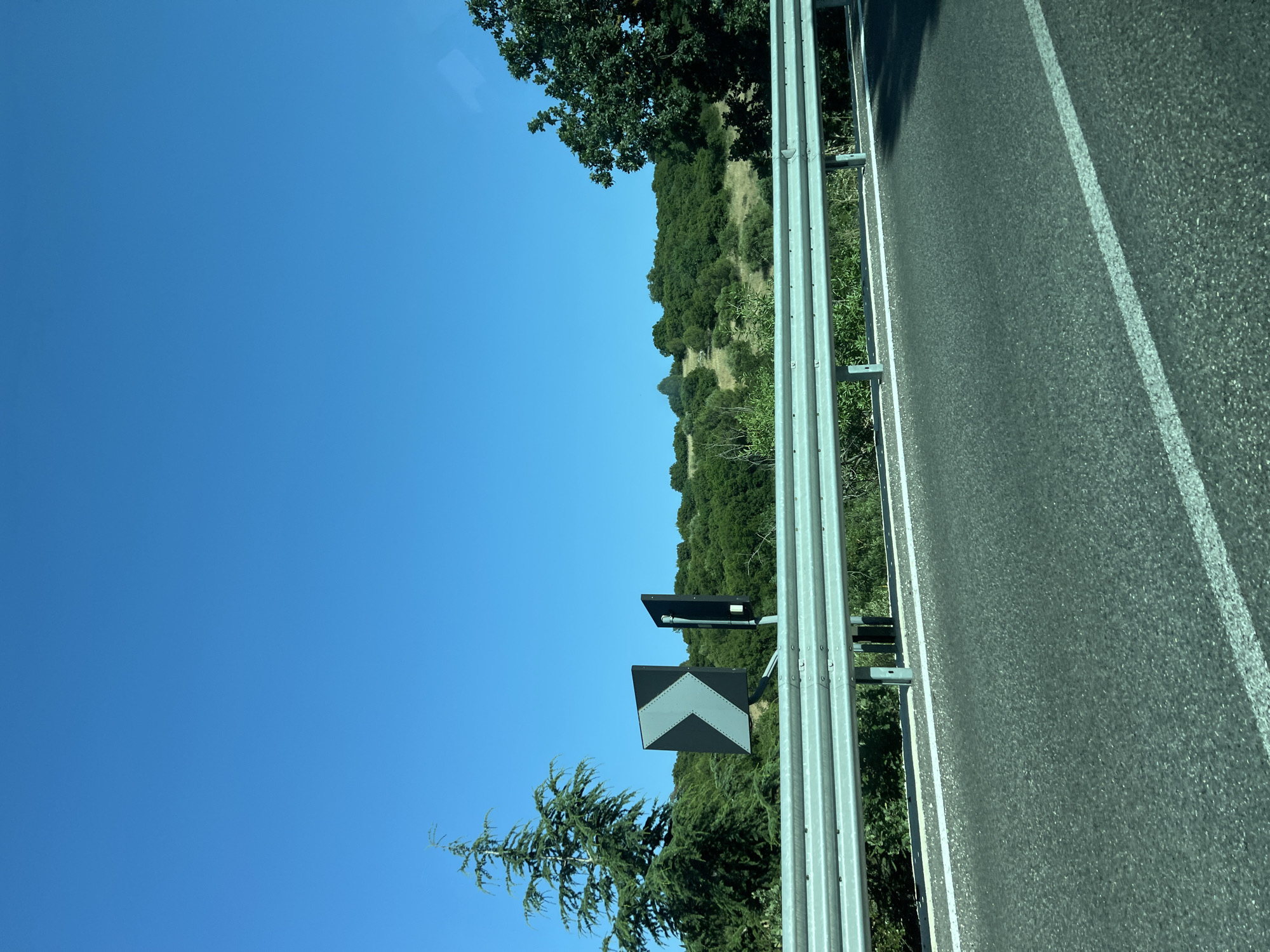 The image presents a forensic view of a rural road scene in Cassano delle Murge, Italy, observed from a low-angle perspective, likely from a moving vehicle. The dominant feature is a clear, vibrant blue sky filling the upper portion of the frame, entirely devoid of clouds. Below the sky, a landscape of rolling hills covered in dense green vegetation, primarily trees and shrubs, stretches across the horizon.
In the foreground, a dark gray asphalt road surface with fine aggregate texture occupies the lower section. A distinct solid white line marks the right edge of the road, running parallel to a multi-bar metal guardrail positioned just above it. The guardrail consists of three horizontal silver-gray bars securely attached to vertical posts.
Behind the guardrail, a tall, slender conifer tree with dense, dark green foliage stands prominently on the far left. To the right of the conifer, two road signs are visible. The primary sign is black with a large, reflective gray chevron pointing sharply to the right, indicating a curve or turn in the road ahead. A second, narrower black sign is partially obscured behind and to the right of the chevron sign.
The mid-ground and background are characterized by undulating hills densely covered with a variety of green trees and bushes, intermingled with patches of lighter green grass. On the far right, a large section of a deciduous tree with thick, dark green leaves is framed. In the distant center-right, a small, dark, dome-shaped structure or natural rock formation is discernible on a hilltop. No individuals or additional vehicles are visible in the captured scene.