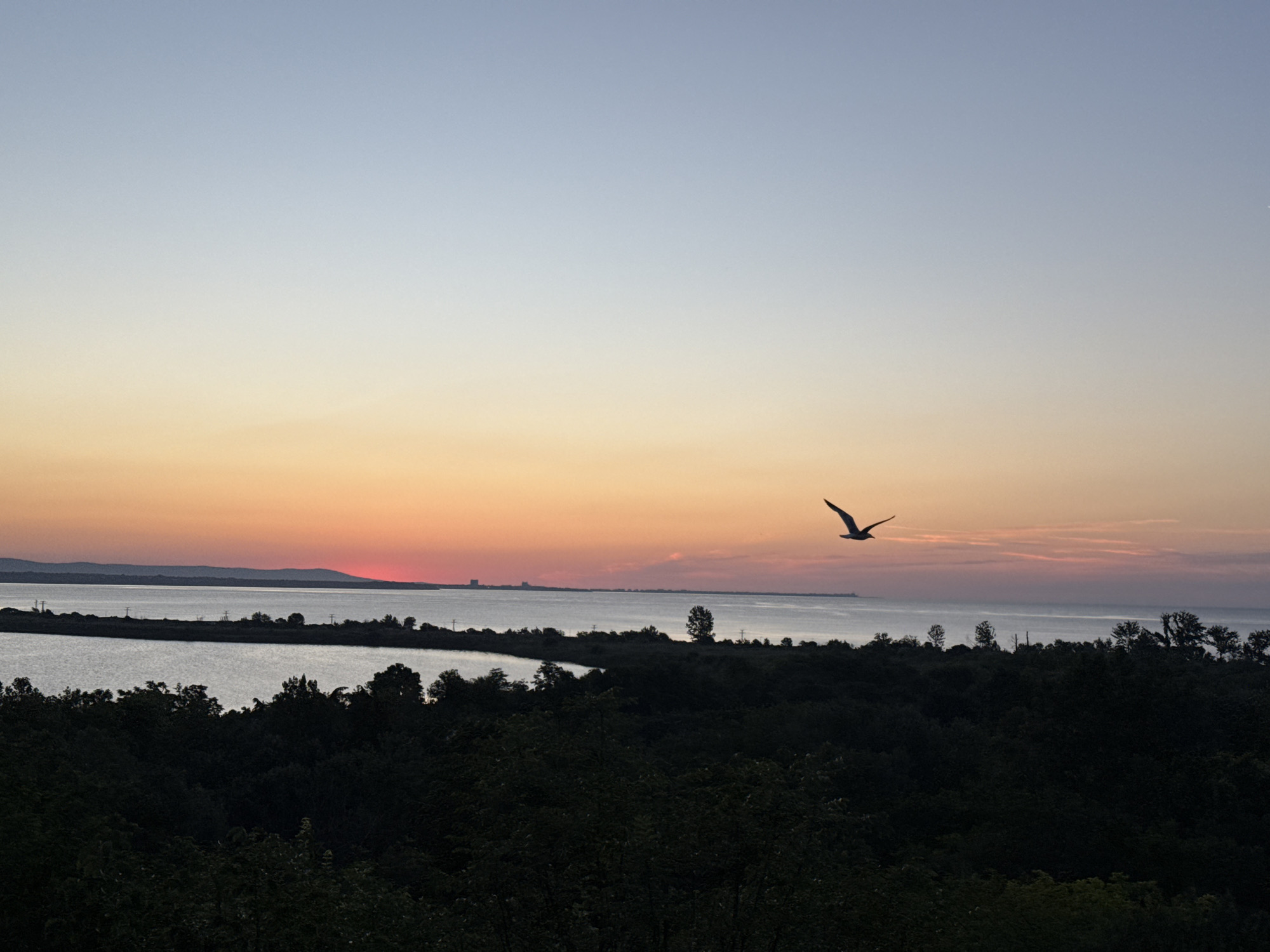 A sunset scene over the Bulgarian city of Burgas shows the Burgas Bay, with the city in the distance. A lone seagull is silhouetted against the orange and blue sky as it flies over the water. The foreground is filled with the dark silhouettes of trees, which give way to the calmer waters of the bay. The sun is low on the horizon, casting a warm glow across the sky. A few small buildings are visible along the distant shoreline, suggesting the presence of the city. The overall mood is peaceful and serene.