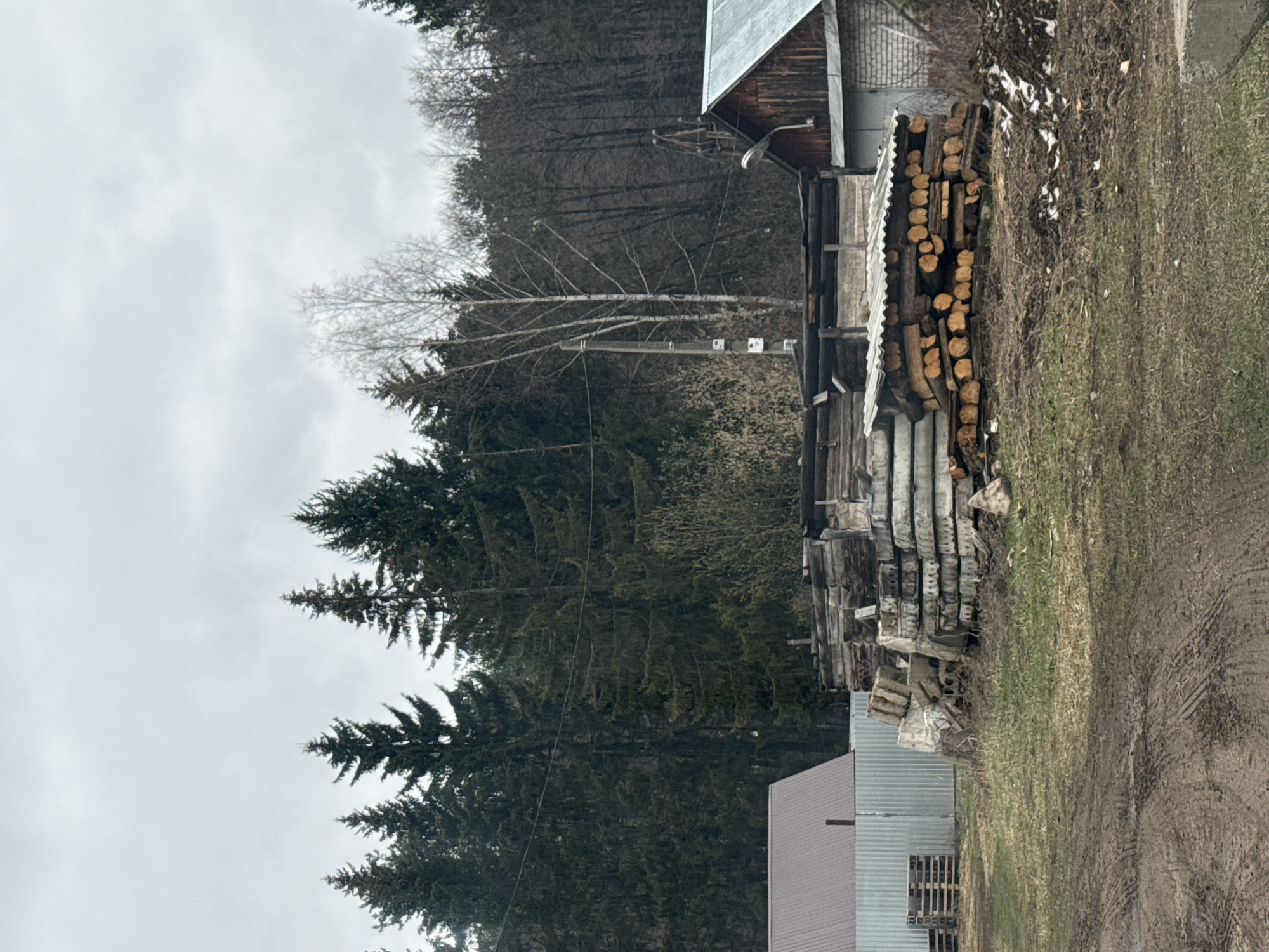 This image presents an overcast, rural landscape, likely captured during late winter or early spring in Chaikovsky, Russia. The dominant feature is a dense forest of dark green coniferous trees stretching across the background and left side of the frame. Interspersed among the evergreens are several bare deciduous trees, their branches stark against the uniformly grey, cloudy sky.
In the mid-ground and foreground on the right, a cluster of structures and stored items indicates a functional area. A wooden building with a corrugated metal roof is visible towards the upper right, featuring an attached outdoor light. Below this, a large, organized stack of chopped logs, including both barked and debarked wood, is covered by a corrugated metal lean-to. Further towards the foreground, a building with a light-colored corrugated metal facade and a reddish-brown roof is partially visible at the bottom right. Adjacent to it are piles of concrete blocks or similar building materials and several wooden pallets.
The ground in the foreground is a mixture of muddy earth and sparse grass, crisscrossed with tire tracks. Patches of snow are visible near the stacked logs and within the deeper parts of the background vegetation, reinforcing the cold season. Utility poles and wires are present, running between the structures and through the treeline.
No people are visible in the scene, and no specific activities are taking place, lending a quiet, functional atmosphere to the setting. The overall impression is one of a practical, outdoor environment typical of a colder climate and rural area. There is no visible text within the image.