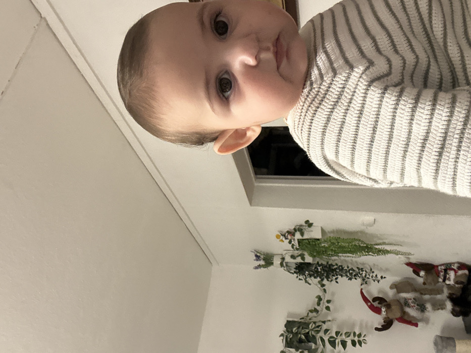 A baby with light skin and hair wears a gray and white striped sweater. The baby gazes directly at the viewer. Behind the baby, a white wall features three small white planters containing different kinds of greenery. To the right of the plants, a stuffed reindeer and other holiday-themed decorations are visible. A dark window is positioned behind the baby's head.