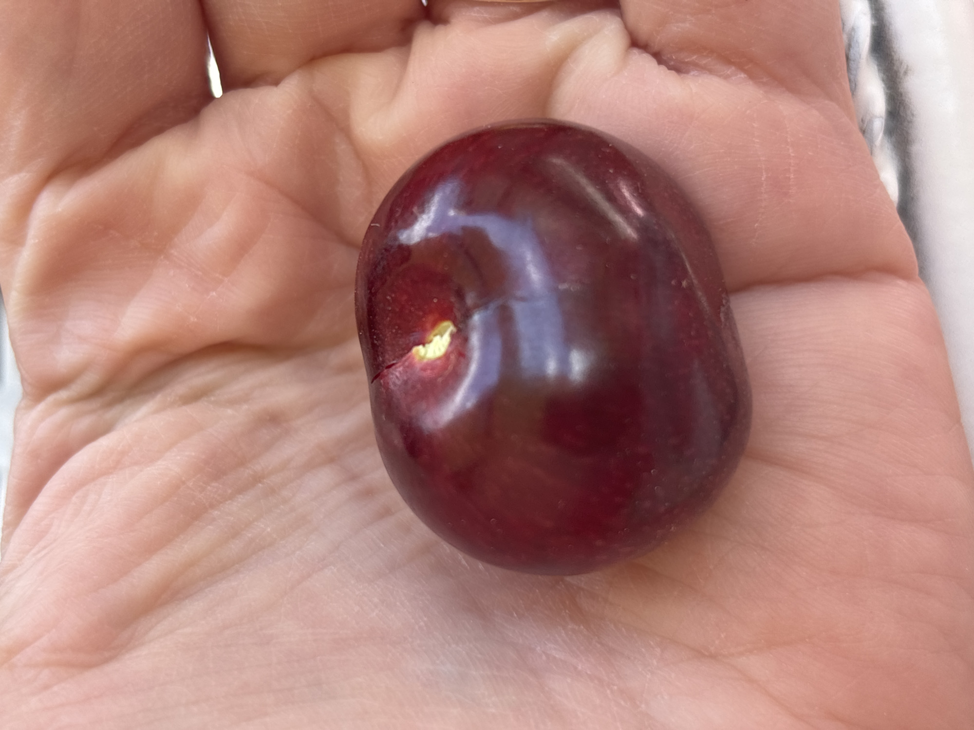 A single, dark red cherry rests in the palm of a person's hand. The cherry has a glossy surface and a small split near the stem. The person's hand has visible lines and wrinkles. The background is blurred and indistinct. There is no indication of location.