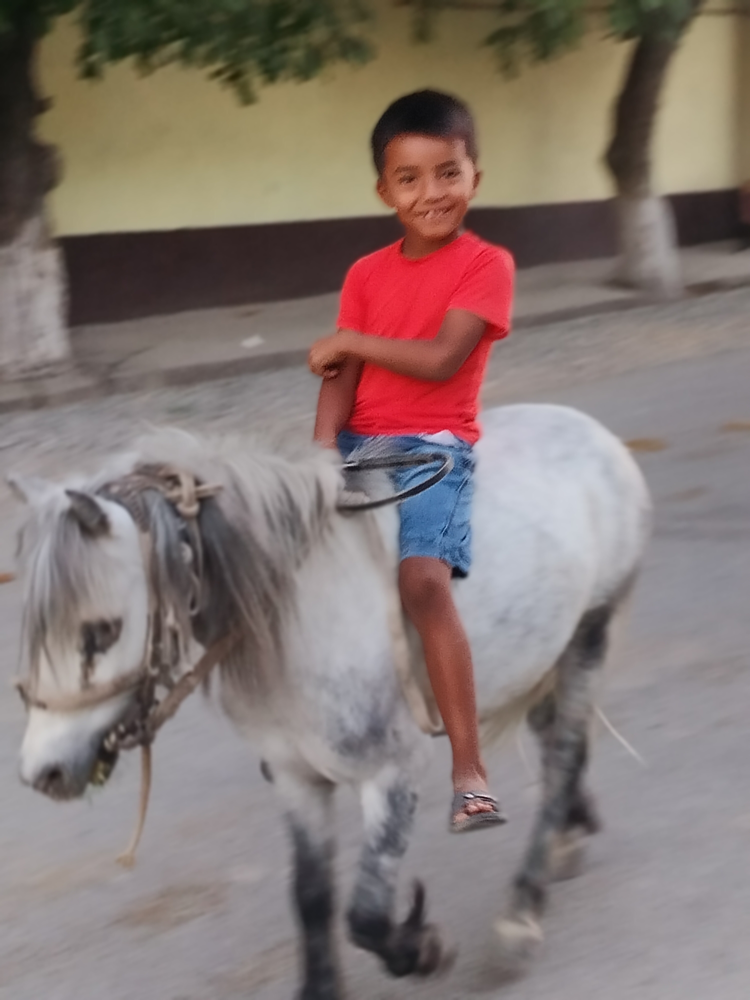 A young boy with dark hair is riding a white pony. He is wearing a red t-shirt and denim shorts. The pony has a long, gray mane and is wearing a saddle. The boy is smiling and looking at the camera. They are on a paved road with trees and buildings in the background. The image appears to be taken in the city of Көлкент, Kazakhstan.