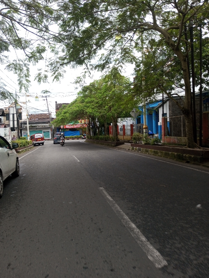 The scene depicts an urban street in Kodarapalli, India, on an overcast day. A multi-lane asphalt road with a faded white dashed center line occupies the foreground and midground, extending into the distance with a slight curve to the right. On the left, a light-colored sedan is partially visible, parked parallel to the curb. Further along the left lane, a red minivan and a dark-colored sedan are in motion, followed by a motorcycle with a helmeted rider traveling away from the viewer. The left side of the street is lined with commercial or residential buildings, including one with a red sign displaying "BASO ISTIGE R" under a blue canopy. Overhead utility lines and poles are visible. The right side of the road features a raised planter with green foliage, separating the roadway from a sidewalk and a building with blue and dark grey sections behind a fence. A solitary individual, possibly in blue attire, is discernible near this blue-walled building. Numerous trees with dense green foliage are present on both sides of the street, casting partial shadows and creating an overhead canopy on the right.