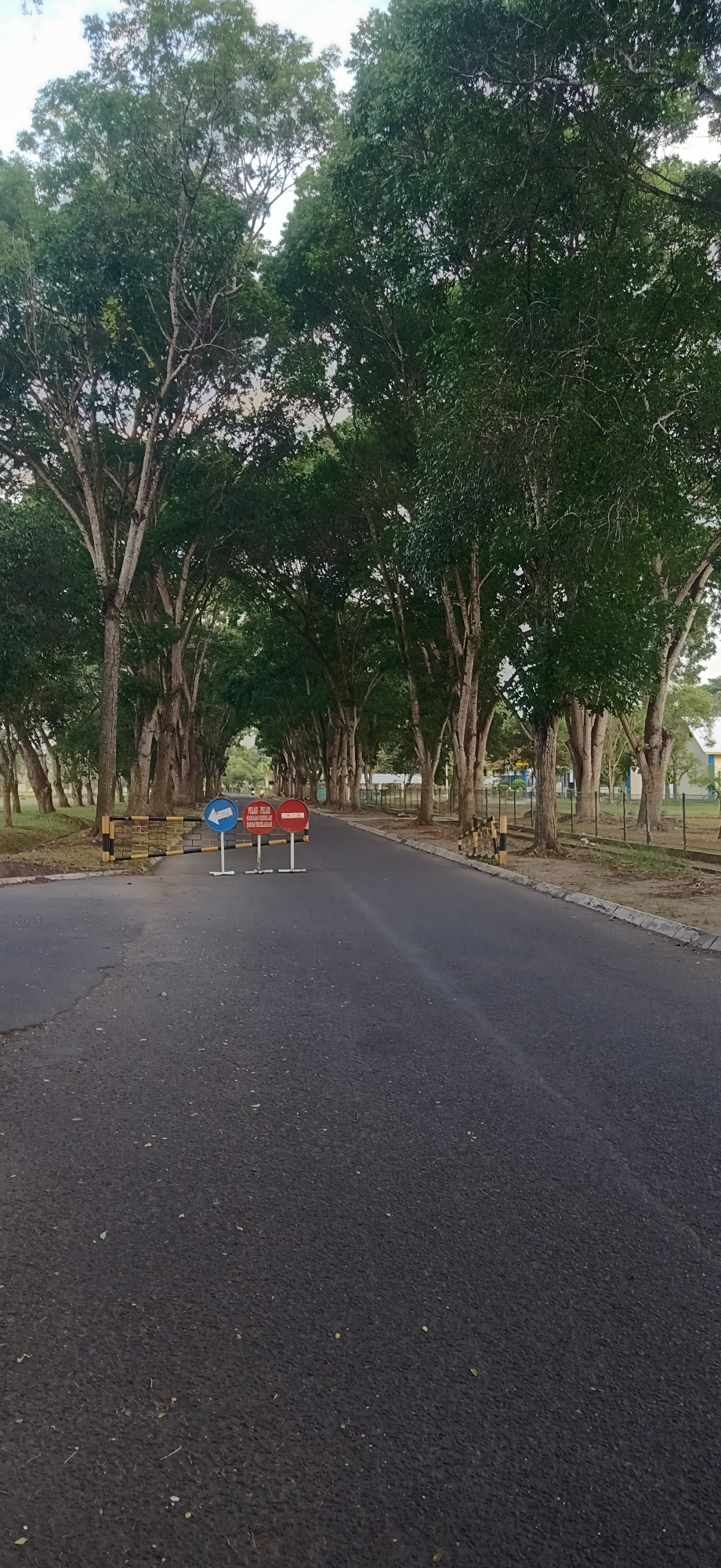 The image captures a road lined with tall trees in Tambontunong, Indonesia. The road is paved and appears to be an asphalt surface. In the foreground, there are two signs placed on white stands on the road. The sign on the left is blue with a white arrow pointing left. The sign on the right is red and circular with a white horizontal bar across it, indicating prohibition. Both signs have some text underneath them which is partially obscured and difficult to read. There is a yellow and black striped barrier extending from the left side of the image, partially blocking the road. The trees lining the road form a canopy overhead, creating a tunnel-like effect. The ground on either side of the road is covered with grass and some fallen leaves. In the background, there is a fence and some buildings visible. The sky is overcast.