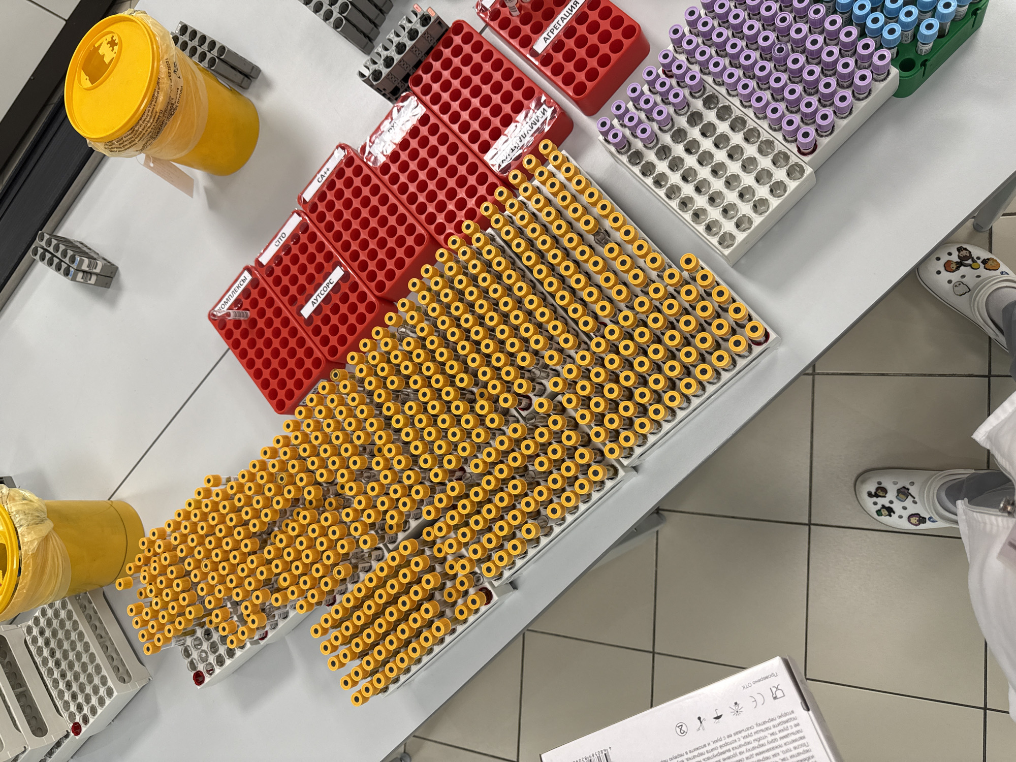 This image captures a clinical laboratory setting, likely in Moscow, Russia, given the visible Cyrillic text and provided context. The primary subjects are numerous medical test tubes, meticulously organized in various colored racks on a white countertop.
Thousands of test tubes, predominantly with bright yellow caps, fill several gray racks, suggesting a high volume of samples. Other test tubes with purple and blue caps are also visible in different racks. Several red plastic racks hold empty slots or fewer test tubes, some with labels indicating specific categories or tests. A bright yellow biohazard waste bin, wrapped in clear plastic, sits in the upper left corner, typical for disposing of medical waste. Part of a person's foot, wearing a white Croc shoe adorned with cartoon charms, is visible in the lower right, indicating the presence of laboratory personnel.
The scene depicts the activity of preparing, sorting, or storing medical samples for laboratory analysis. The highly organized arrangement of the test tubes and racks implies a standardized and efficient workflow within the lab.
Notable details include the clinical cleanliness of the environment. The visible text on the red rack labels includes "КОМПЛЕКСЫ" (Complexes), "CA++", "CITO" (Urgent/Stat), "АУТСОРС" (Outsource), and "АГРЕГАЦИЯ" (Aggregation), suggesting different types of tests or handling procedures. Another partial label reads "ВИММУДАЙТ И". On a white box, inverted text includes "Проверено ОТК" (Checked by Quality Control Department) and instructions related to handling "перчатки" (gloves), further confirming the laboratory context. The overall impression is one of a busy, yet organized, medical diagnostics or research facility.