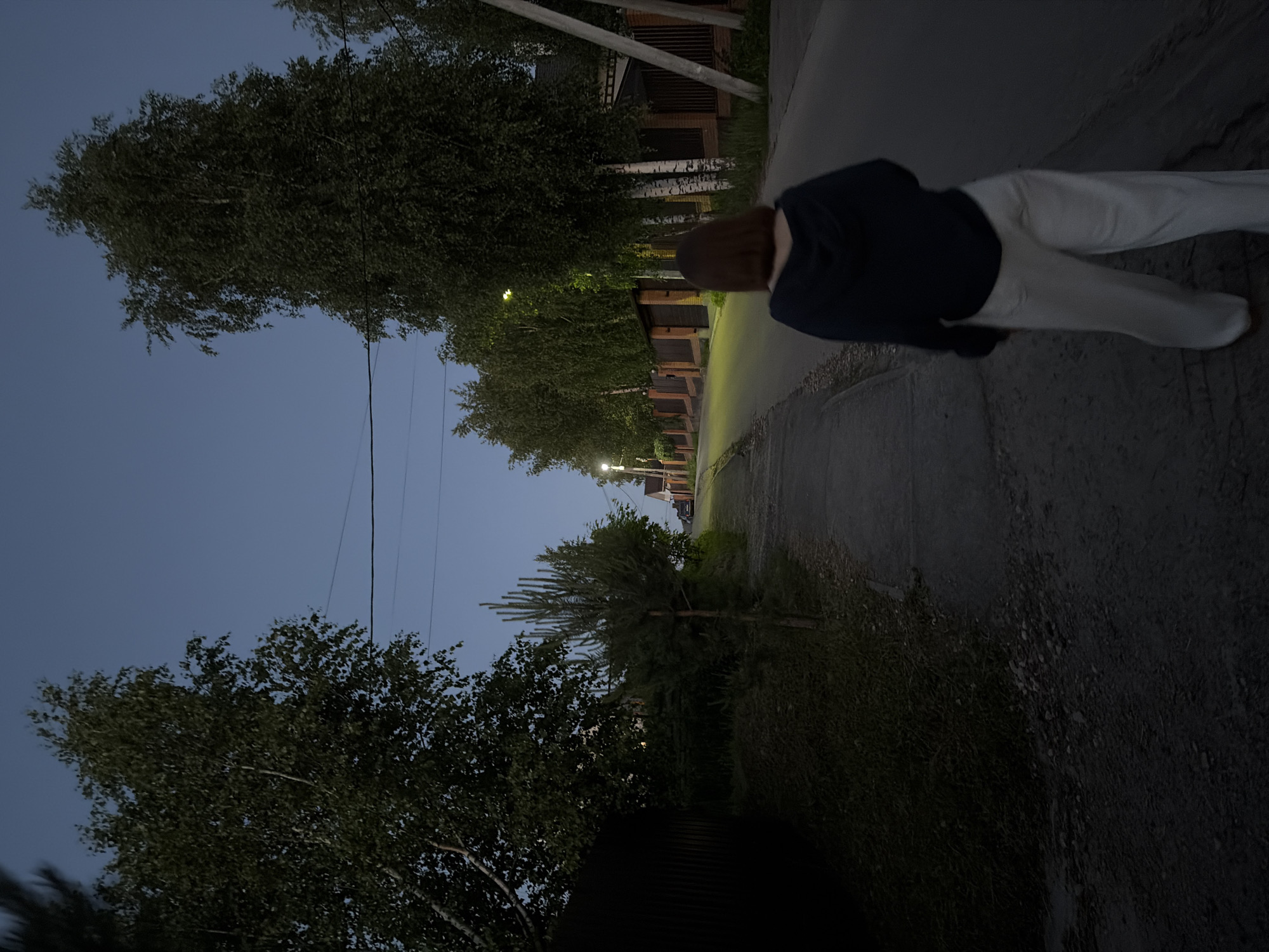 The image depicts a residential street in Новинки, Russia, at twilight or early night. A single individual, viewed from behind, is walking away from the camera on a paved road that gently ascends towards the horizon. The person has reddish-brown, shoulder-length hair and is wearing a dark hooded top and light-colored pants.
The left side of the scene features a dirt or gravel shoulder bordering a grassy area, alongside various trees including smaller conifers and larger deciduous trees. Further left, a dark wooden fence or structure is partially visible. The right side of the street is lined with a series of fences, predominantly constructed of brick with dark wooden gates, behind which residential structures are partially visible. Numerous large deciduous trees, resembling birch trees with their lighter bark, line this side of the road.
Several active streetlights with a yellow-orange glow illuminate sections of the street. Overhead, multiple power lines traverse the deep blue-grey sky. In the far distance, at the crest of the street's incline, a dark vehicle is faintly discernible. The overall lighting is low, indicative of dusk or early evening conditions.