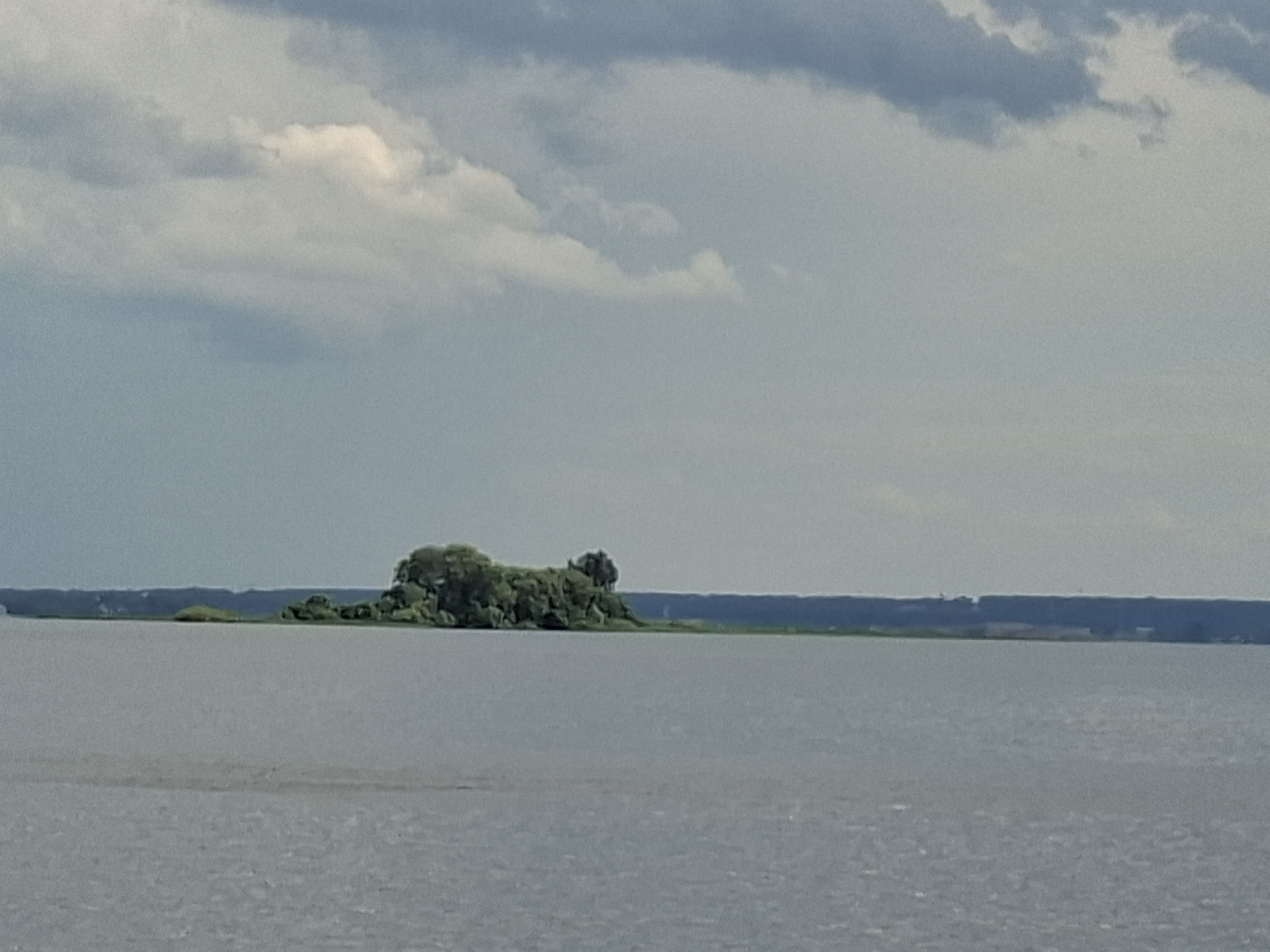 A wide, calm body of water, likely a river or lake, occupies the foreground of the image. The water is a muted gray-blue with subtle ripples and a slight sheen reflecting the overcast sky. In the distance, a thin, dark line of trees and vegetation marks the shoreline. A small, densely wooded island sits in the middle of the water, its lush green foliage appearing as a cluster of rounded shapes against the horizon. The sky above is a mix of soft gray and white clouds, with patches of lighter sky suggesting a diffused, cloudy day. The overall scene depicts a serene, natural landscape, possibly in the vicinity of Verkhny Uslon, Russia, a location known for its scenic waterways and natural beauty.