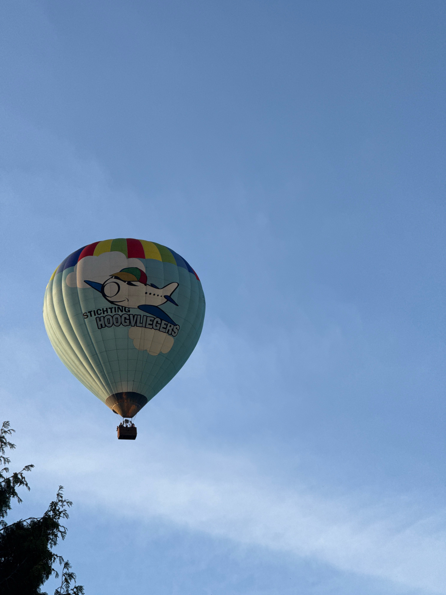In the sky above Marum, Netherlands, a pale blue hot air balloon is ascending against a clear blue sky. The balloon features a colorful crown of red, yellow, green, and blue segments at its top. Dominating the side of the balloon is a graphic of a cartoon airplane with a smiling face, wearing a green and yellow striped hat. Below the airplane, the text "STICHTING HOOGVLIEGERS" is written in dark blue lettering. The basket of the balloon, visible from below, appears to contain several passengers. In the lower left corner of the image, the dark green foliage of trees with thin branches extends into the frame. The lighting suggests it is either early morning or late afternoon.