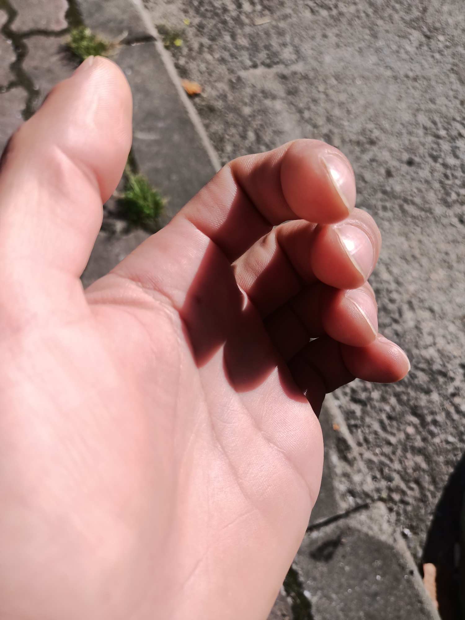 An extreme close-up shot shows a person's right hand, palm-side up, against a blurred background of concrete and cobblestones. The hand is illuminated by direct sunlight, creating strong shadows on the palm and fingers. The fingers are curled slightly inwards. The skin is pale with visible texture and creases. The background shows the rough texture of concrete paving slabs, interspersed with small patches of green grass and a single fallen brown leaf. The shadow of the hand is cast onto the ground. The scene appears to be outdoors, likely on a sidewalk or public walkway. Without further context, it is impossible to pinpoint the exact location in Tallinn, Estonia.