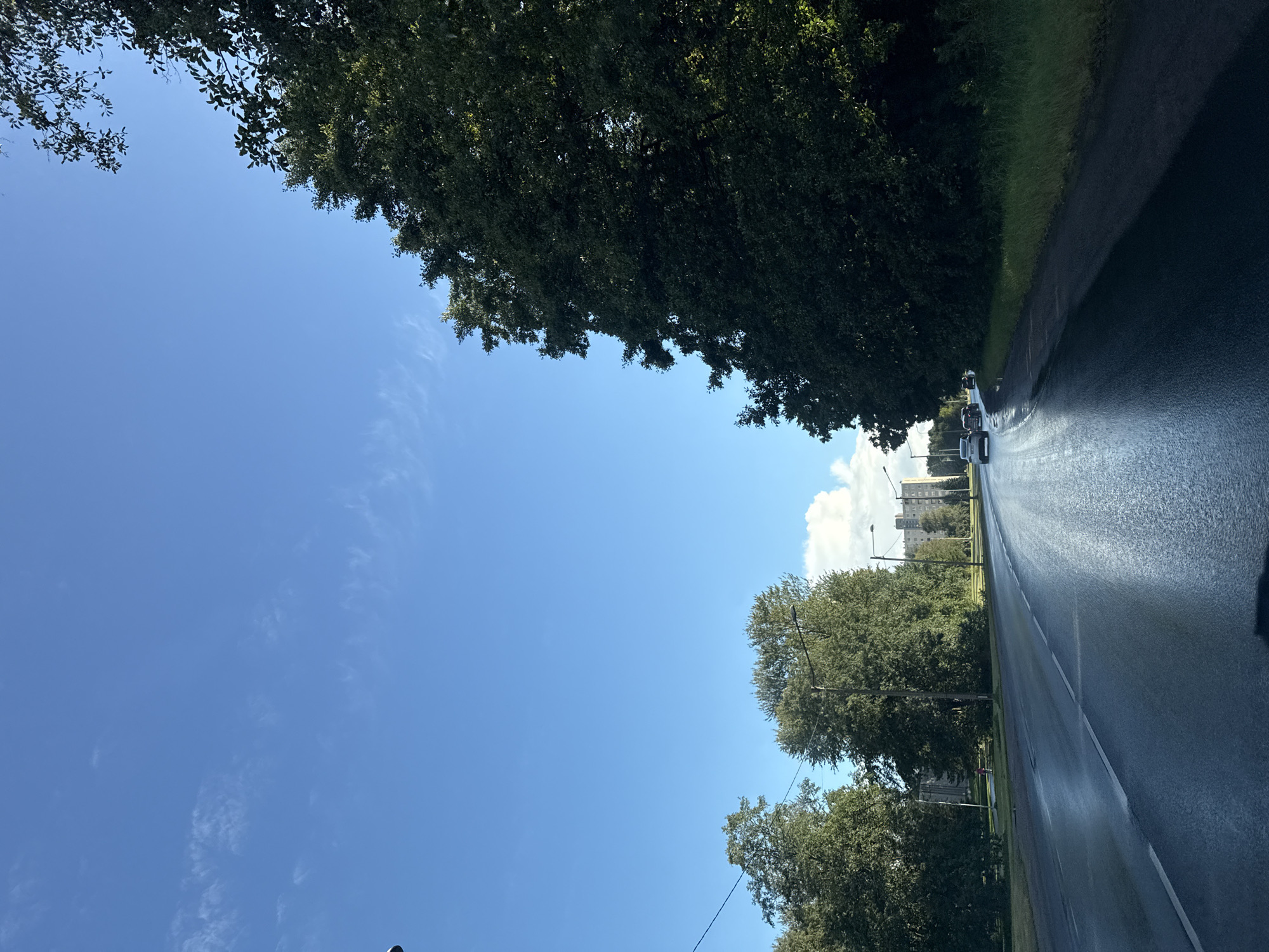 The image depicts a view from a vehicle traveling on a wet, asphalt road in Tallinn, Estonia. The sky is a clear blue with some scattered white clouds and thin wispy cirrus clouds. Large, mature trees with dark green foliage line the right side of the road, their branches extending into the upper right corner of the frame. On the left side of the road, more trees are visible, with a building in the distance behind them. A few cars are on the road ahead, their headlights reflecting on the wet surface. The road surface is dark and appears slick due to recent rain or moisture, with light reflecting off it. A shadow is cast across the right side of the road from the trees. In the far distance, a multi-story, light-colored building is visible. A single streetlamp is present on the left side of the road.