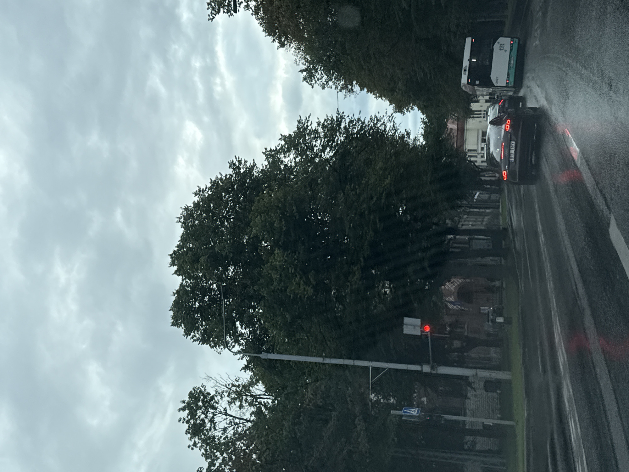 The image captures a street scene in Tallinn, Estonia, under an overcast sky. A dark-colored Audi TT is in the foreground, driving on a wet road. Behind the Audi, another car is partially visible. A white and green bus with the markings "tlt" and the number "2497" is to the right of the Audi, also on the road. Tall trees line the sides of the street, and a traffic light with a red signal is visible on the left. Buildings with stone facades and arched doorways can be seen in the background, partially obscured by trees. The road surface is reflective due to rain, with visible tire tracks and reflections of vehicle lights. A pedestrian crossing sign is present near the traffic light.