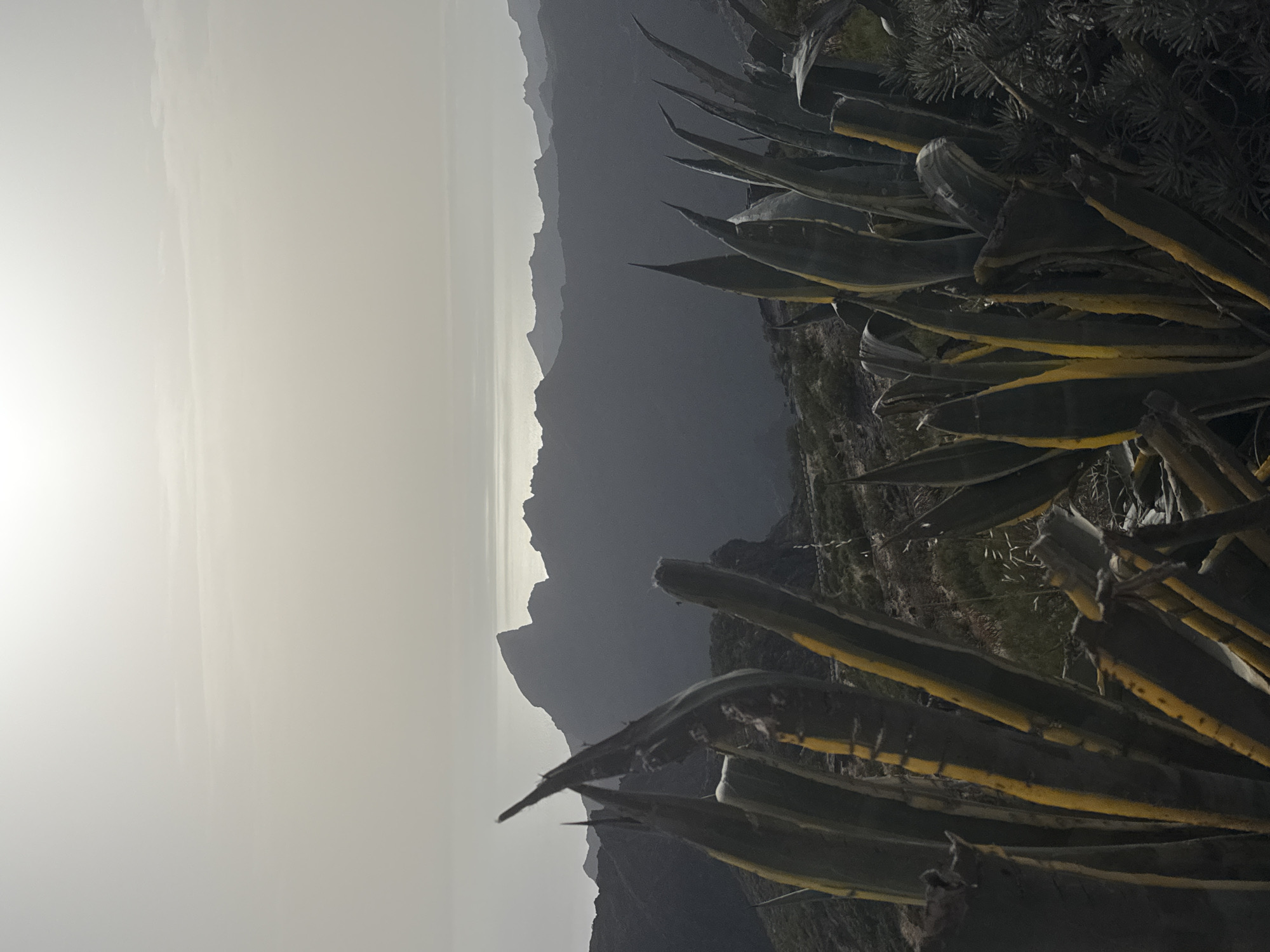 A silhouette of agave plants in the foreground. In the midground, a mountain range is silhouetted against the horizon. The ocean is visible in the background. The sun is low in the sky, creating a hazy, diffused light. The overall mood of the image is serene and tranquil.