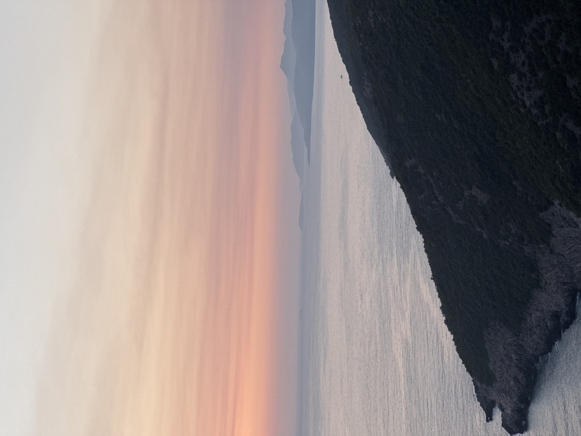 This is a vertical, medium shot taken from a high vantage point overlooking the Adriatic Sea at sunset. The sky is a gradient of pale peach and pink hues, with wispy clouds streaking horizontally. In the distance, a series of hazy, blue-gray mountains form the horizon. The sea is calm and reflects the colors of the sky. In the foreground, a dark, densely vegetated hillside slopes down towards the water. The hillside is rocky and rugged, with patches of exposed stone and a thick carpet of green foliage. A small boat is visible on the water in the middle distance. The scene appears serene and natural, with no people or man-made structures, except for the distant boat, in evidence. The location is the coast of Zagora, Montenegro.