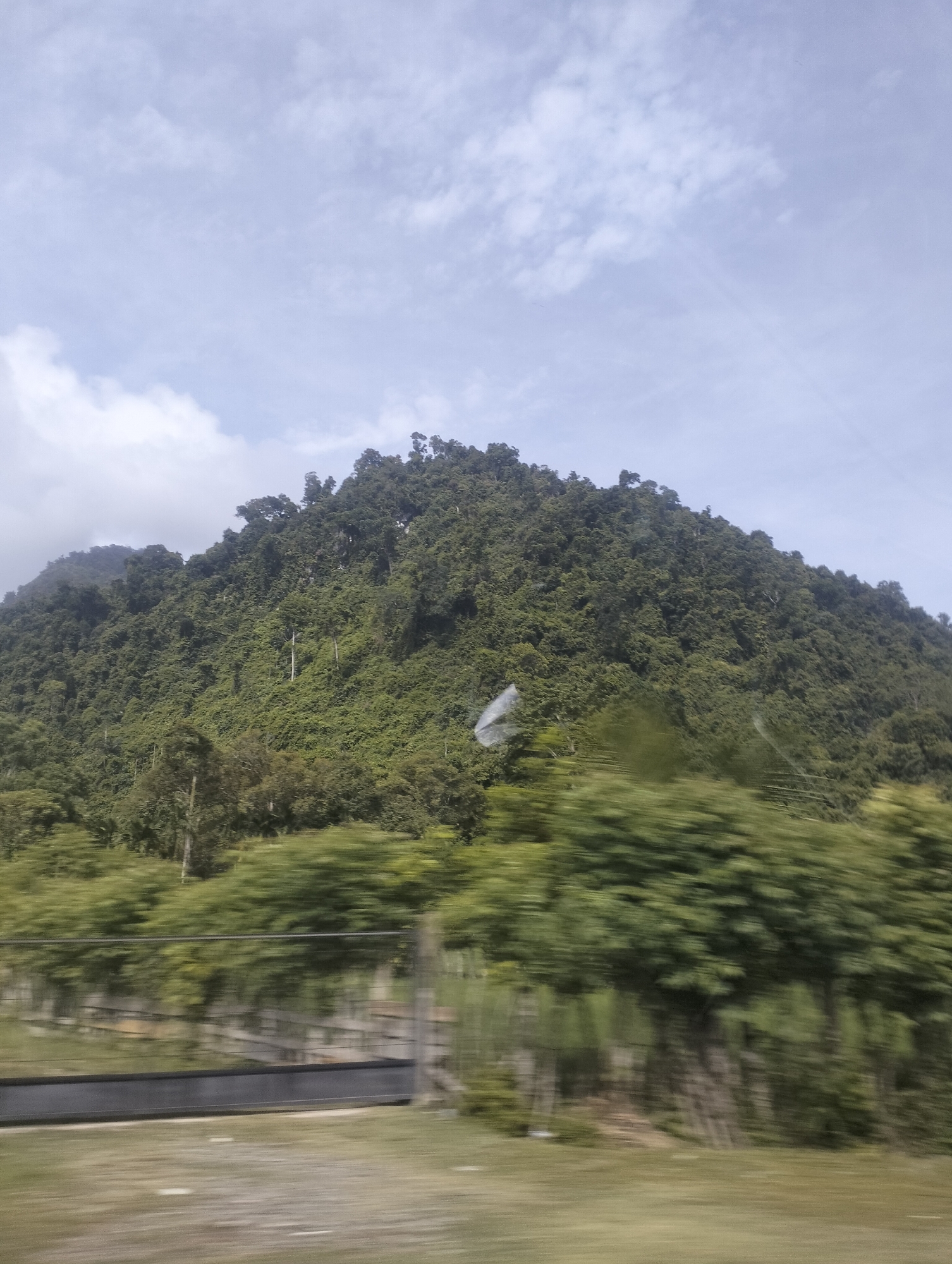 The image shows a densely forested mountainside under a cloudy sky. The trees are predominantly a deep green, covering the entirety of the mountain's slope, with some taller trees interspersed among the dense foliage. The foreground is blurred due to motion, showing a grassy area with a fence and some indistinct structures. A greyish horizontal band, possibly a road or barrier, runs across the lower part of the image, also blurred. The overall impression is that the photo was taken from a moving vehicle. The location is described as Keutapang, Indonesia, implying a natural, possibly rural or semi-rural setting.
