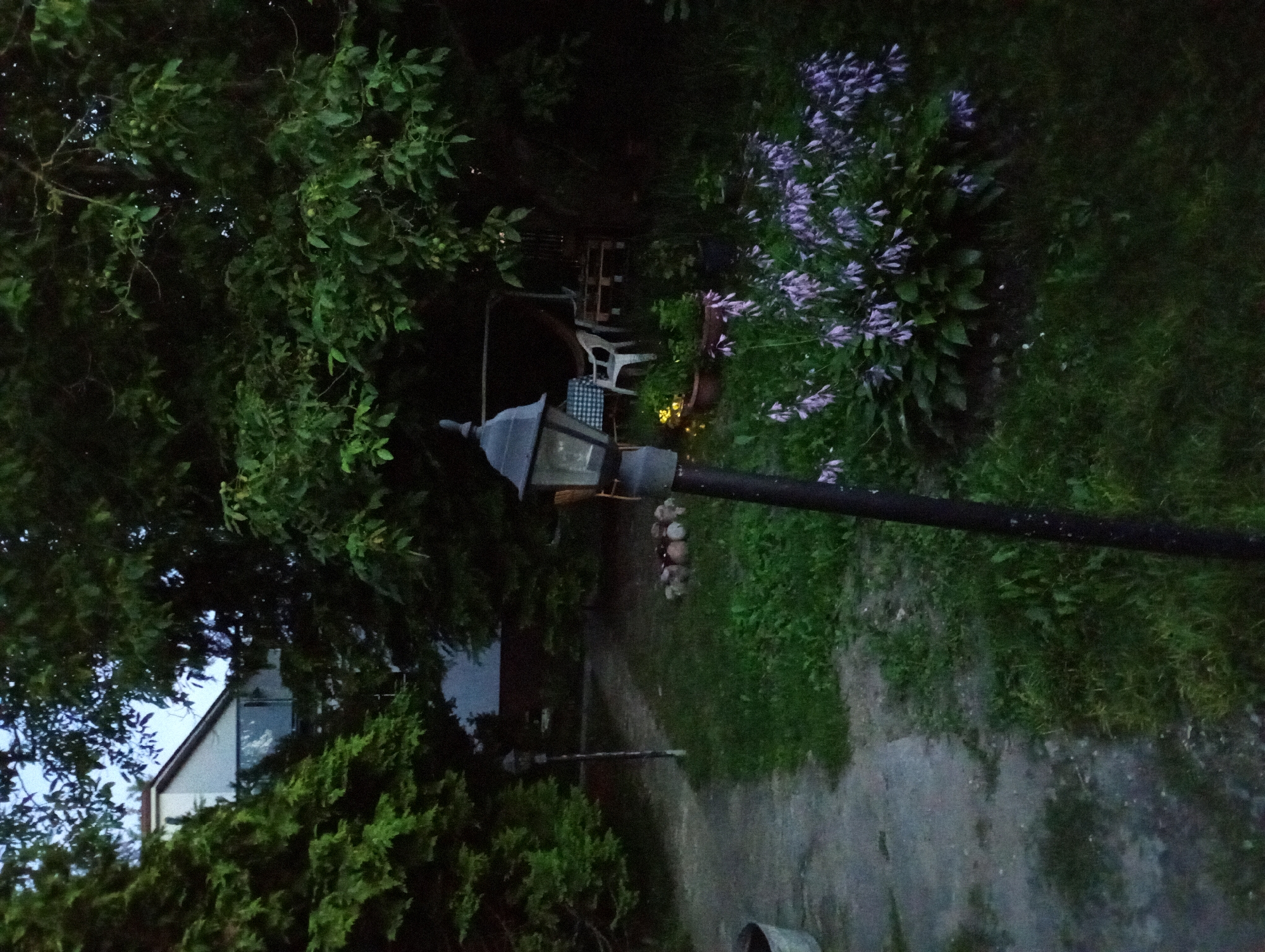 The image depicts an outdoor scene in the city of Białystok, Poland, likely a backyard or garden area. In the foreground, a dark, weathered lamppost stands prominently. To the left, a pathway, possibly made of concrete or stone, leads into the scene. The ground is covered in green grass and some dirt. In the mid-ground, a small fire pit is visible, outlined by a ring of stones. Further back, several garden chairs and a table are arranged, partially obscured by foliage. A swing set structure is also present. A large bush with clusters of delicate purple flowers dominates the right side of the mid-ground. In the background, a white house with a dark roof is visible, partially hidden by lush green trees and other vegetation. The lighting suggests it is either dusk or nighttime, with artificial lights from the lamppost and possibly the house casting a dim glow. The overall atmosphere is one of a quiet, natural setting within a residential area.