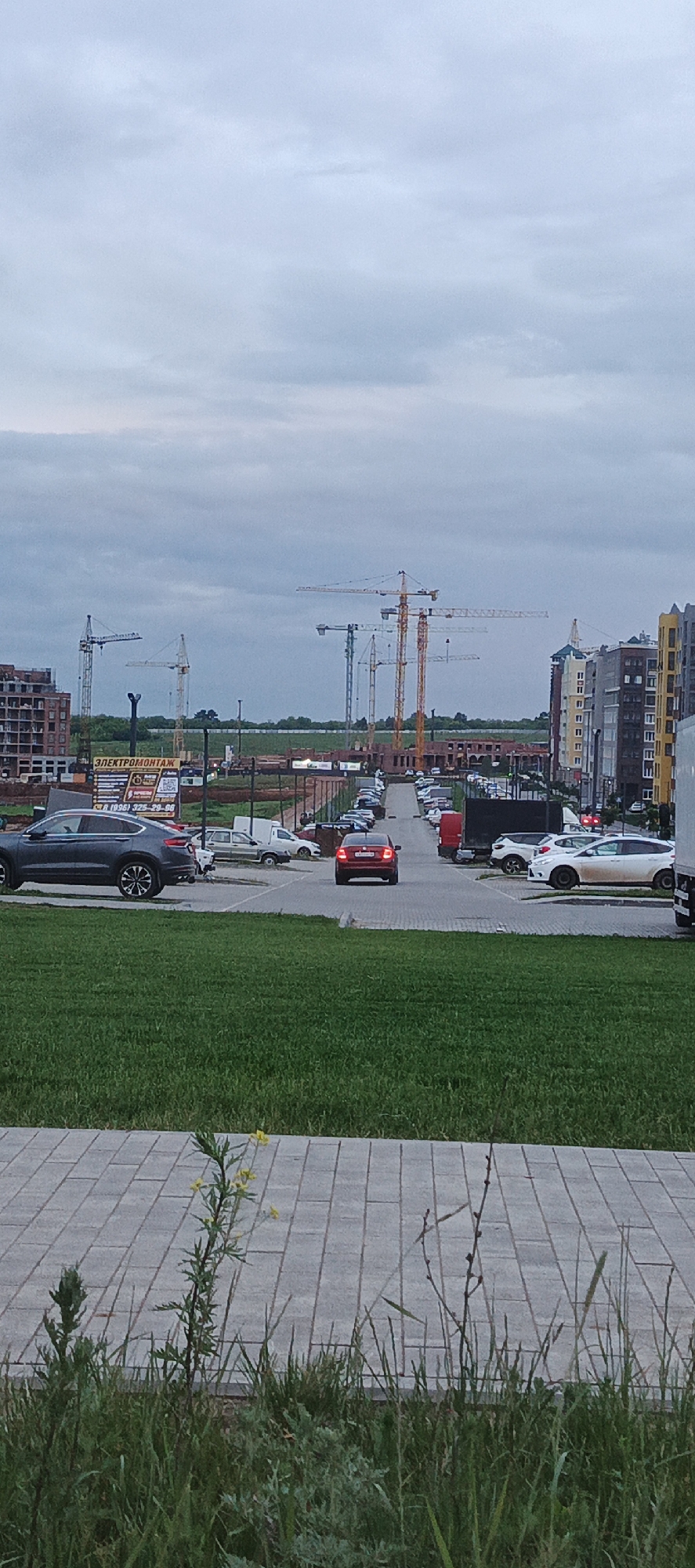 The image depicts an overcast daytime scene in the city of Pervomaysky, Russia, showcasing a developing urban area. The upper portion of the frame shows a light blue-grey sky dominated by diffuse, grey cloud cover.
In the background, numerous construction cranes, primarily yellow and green, are visible, indicating extensive ongoing development. Several partially constructed multi-story buildings, appearing to be made of brick and concrete, are present across the horizon. On the right side, completed or near-completed multi-story residential buildings with facades in shades of yellow, grey, and brown are visible.
A paved road or parking area extends into the mid-ground, receding into the distance and bordered by various parked vehicles. In the mid-left, a dark grey SUV is parked, facing towards the right. Further down the road, a red sedan is visible from the rear, facing away from the viewer. Other parked vehicles include a white van, multiple sedans and SUVs, and the partial rear of a white truck on the far right. A black rectangular sign on the left side of the mid-ground displays "ЭЛЕКТРОМОНТАЖ" (ELECTRICAL INSTALLATION) in white Cyrillic text, along with a phone number (995) 325-29-66 and other symbols. A dark fence or barrier runs parallel to the paved area, separating it from what appears to be undeveloped or construction land.
The foreground consists of a strip of vibrant green grass, bordered by a light grey rectangular paver walkway. Sparse wild vegetation, including a prominent plant with small yellow flowers and elongated leaves, grows along the edge of the walkway and within the grassy area. No individuals are visible in the scene, and no active events or interactions are depicted.